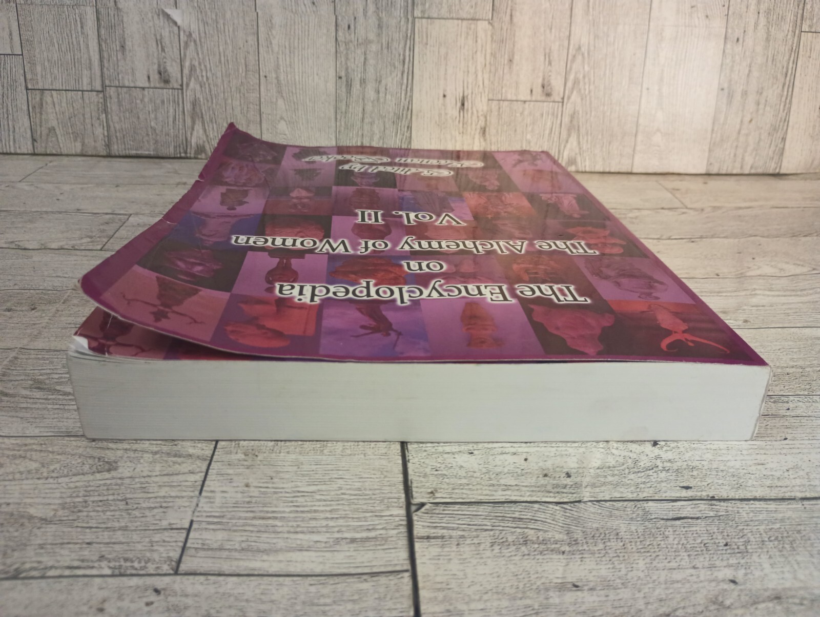 Keenan BookerThe Encyclopedia on the Alchemy of Women Vol. II (2) (The Uterus)