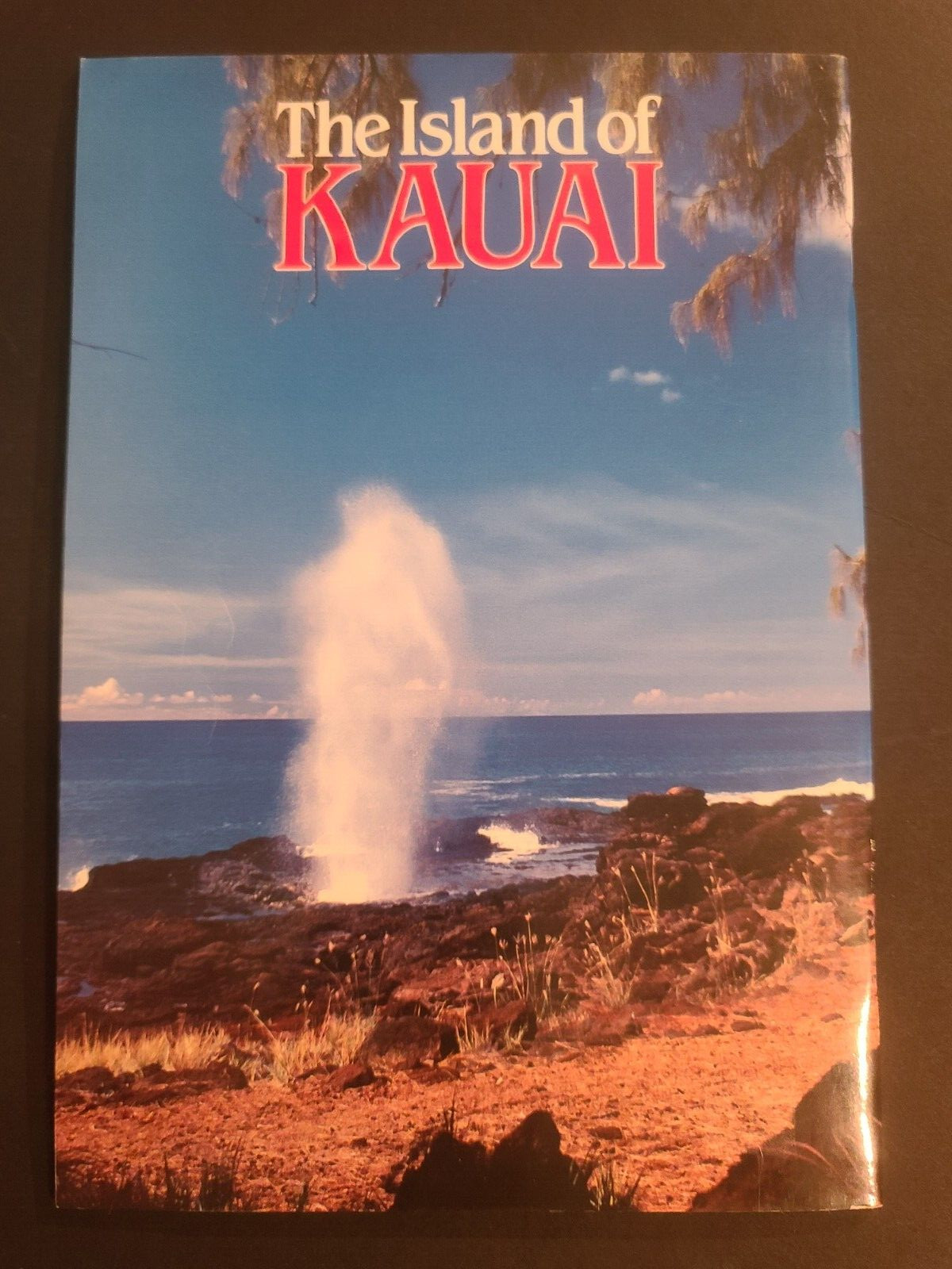 The Island of Kauai by Dick Young and Ray Helbig (1984, Paperback) 34 Pages
