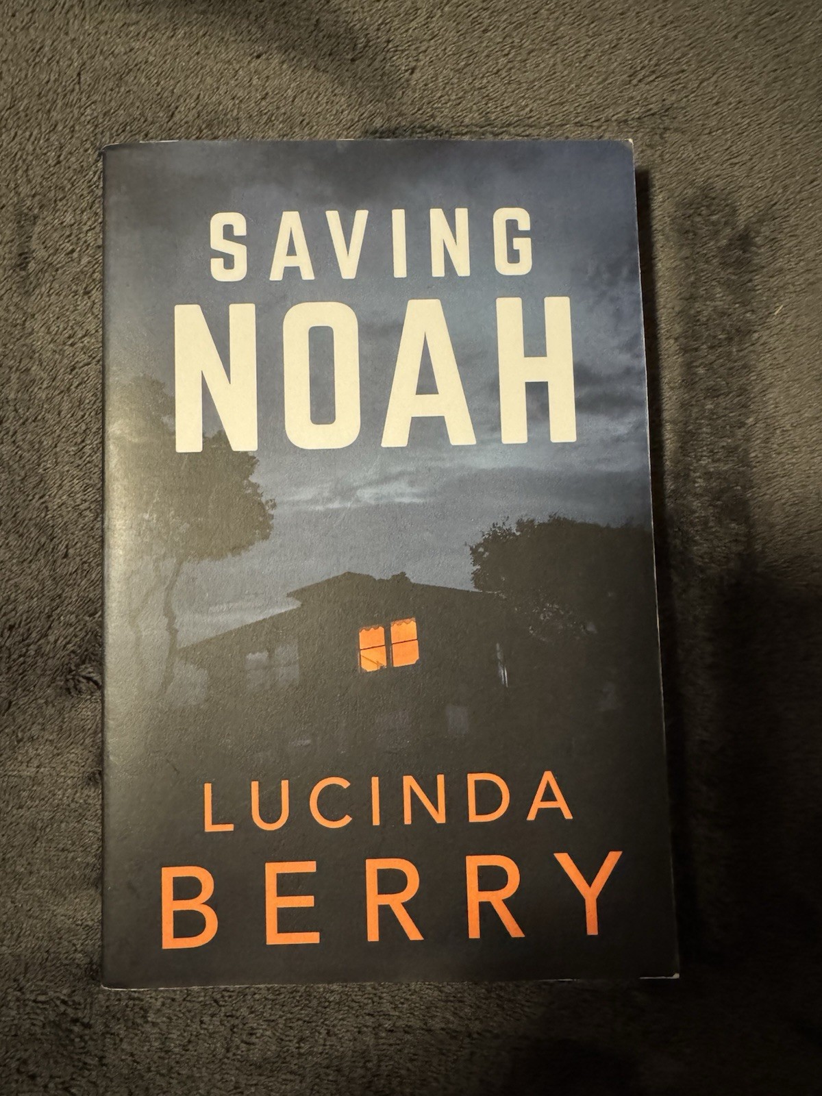 Saving Noah Lucinda Berry Paperback