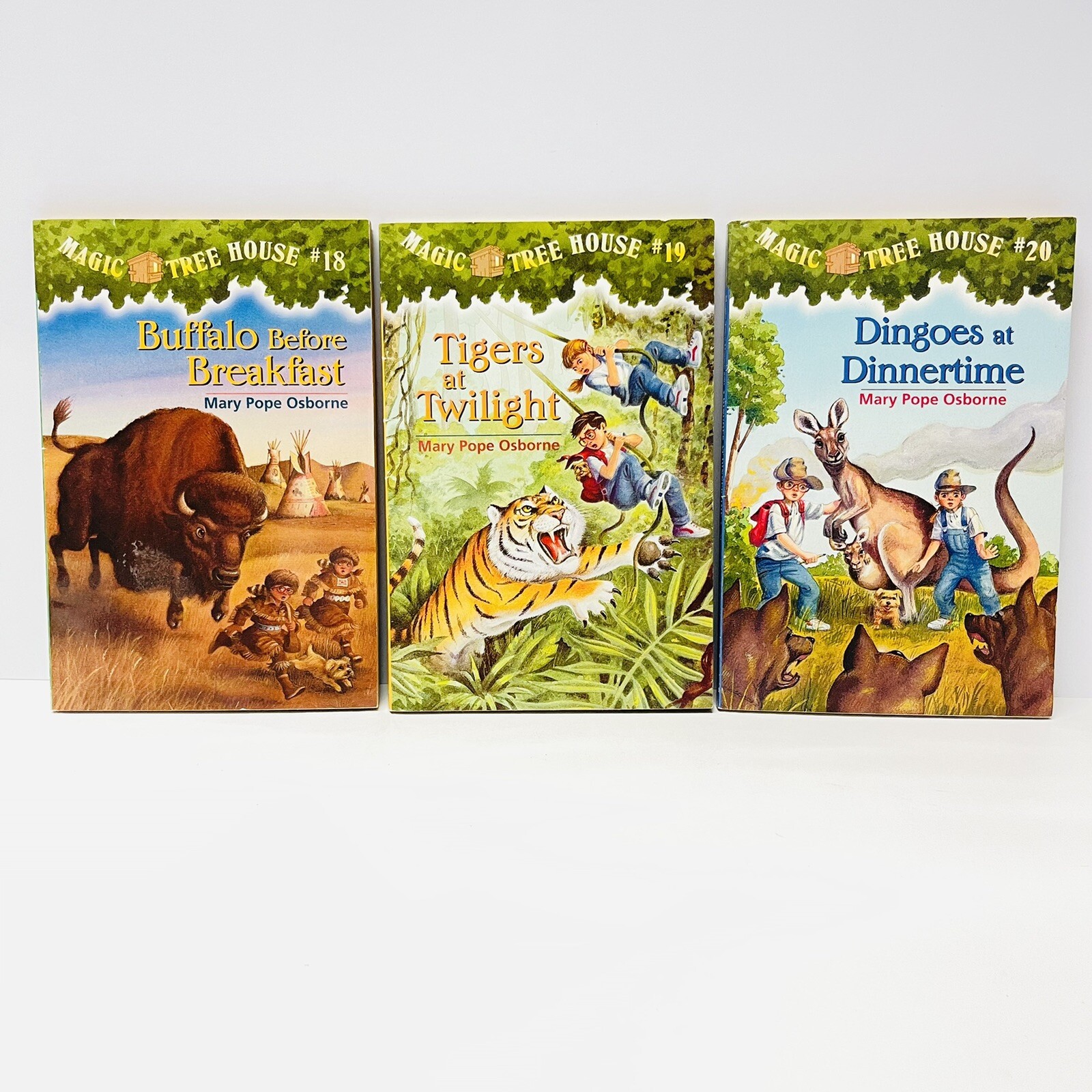 Lot Of 15 Magic Tree House Merlin Missions Series Paperback Books
