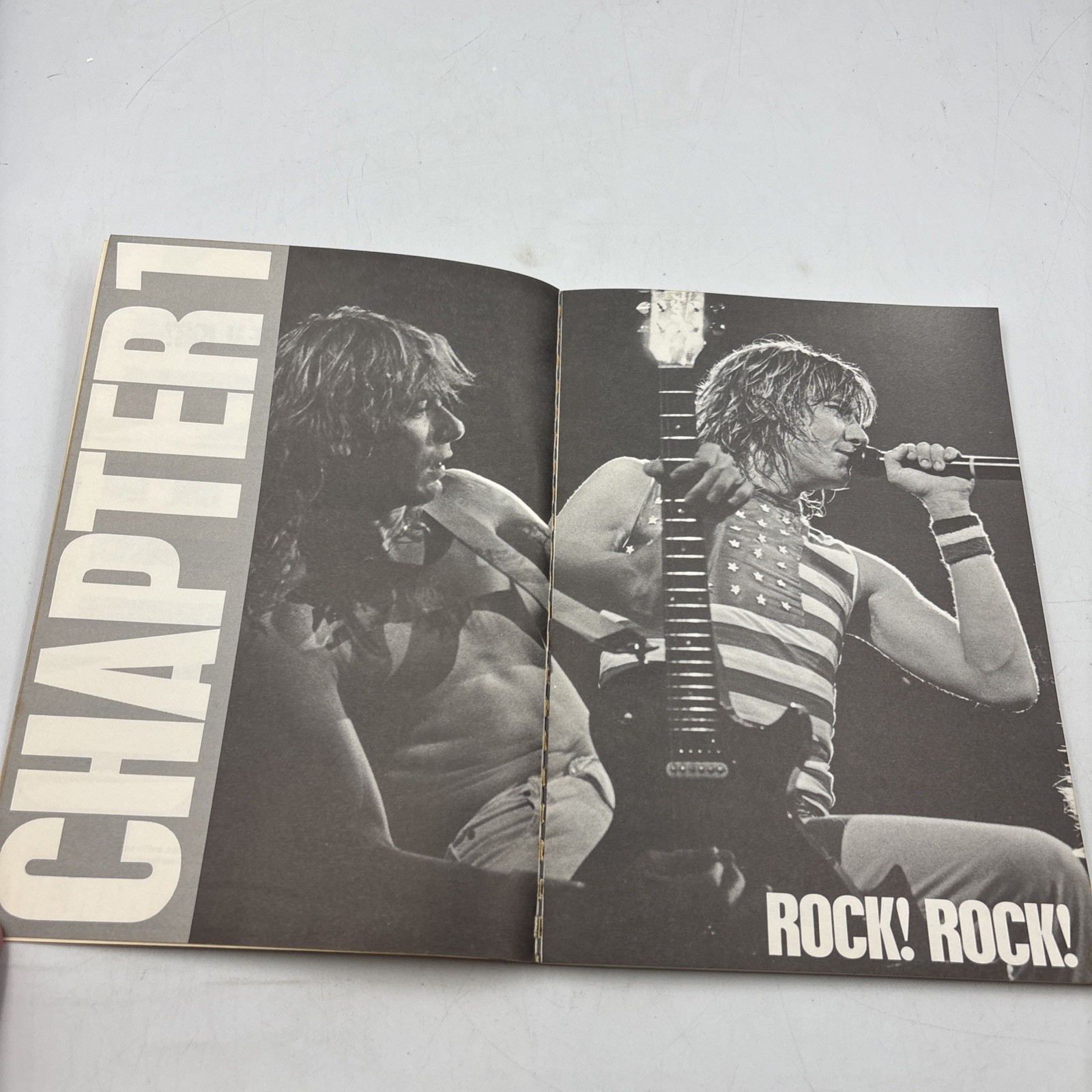 Def Leppard: An Illustrated Biography. Chris Welch PB 1984 Vintage Omnibus Press