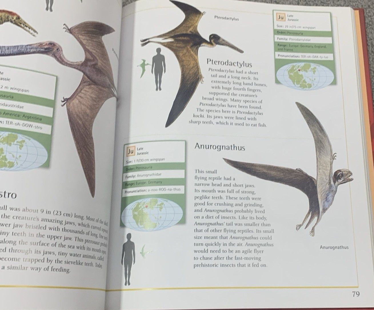 Complete Guide to Dinosaurs by Chris McNab – Hardcover – Velika Enciklopedija