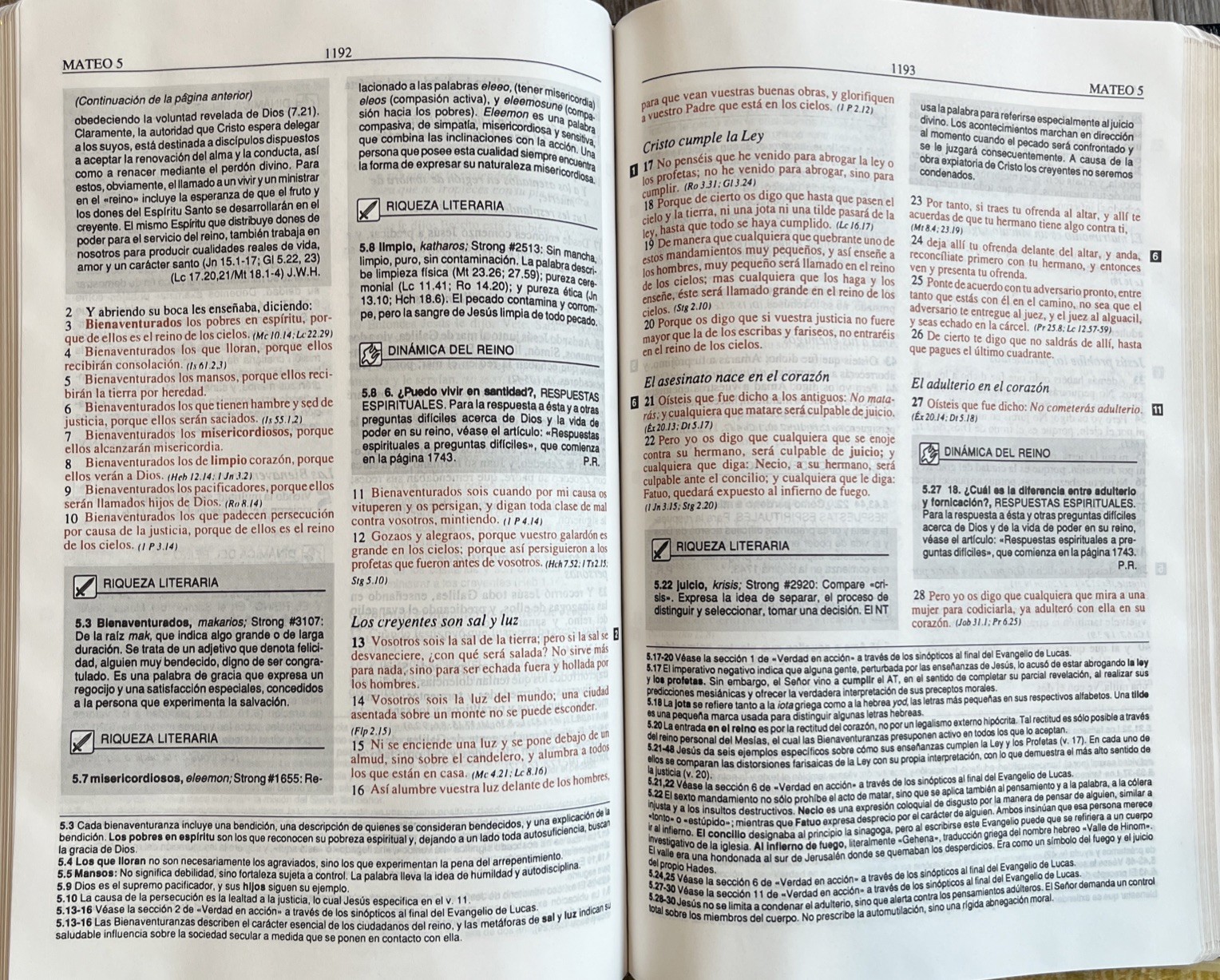 Biblia Pastoral de Estudio Plenitud RV1960 piel elaborada negro