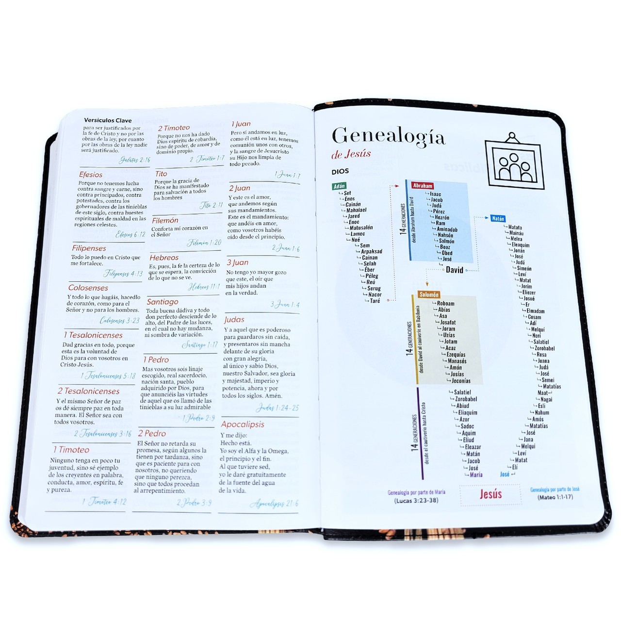 Biblia Letra Grande 12 puntos RV1960 imit piel negro trigo con indice