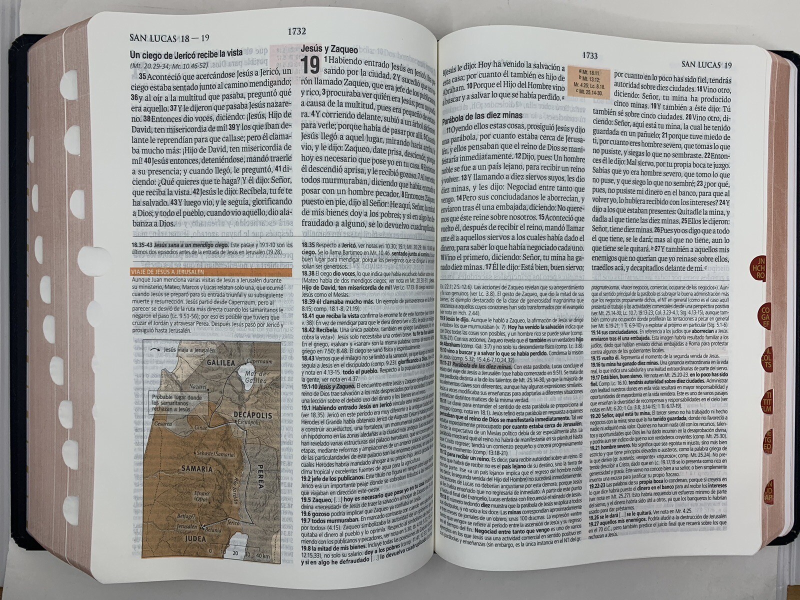 BIBLIA DE ESTUDIO TEOLOGICO TAPA DURA CON INDEX REINA VALERA 1960
