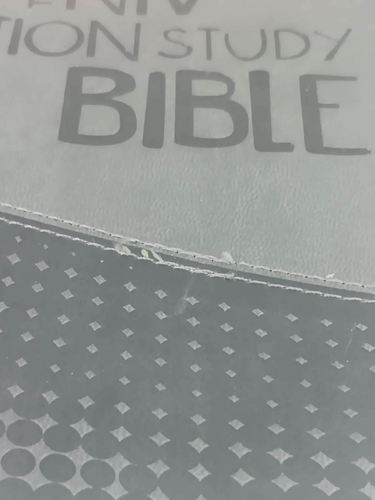 The NIV Action Study Bible – Premium Edition by Sergio Cariello / David C. Cook