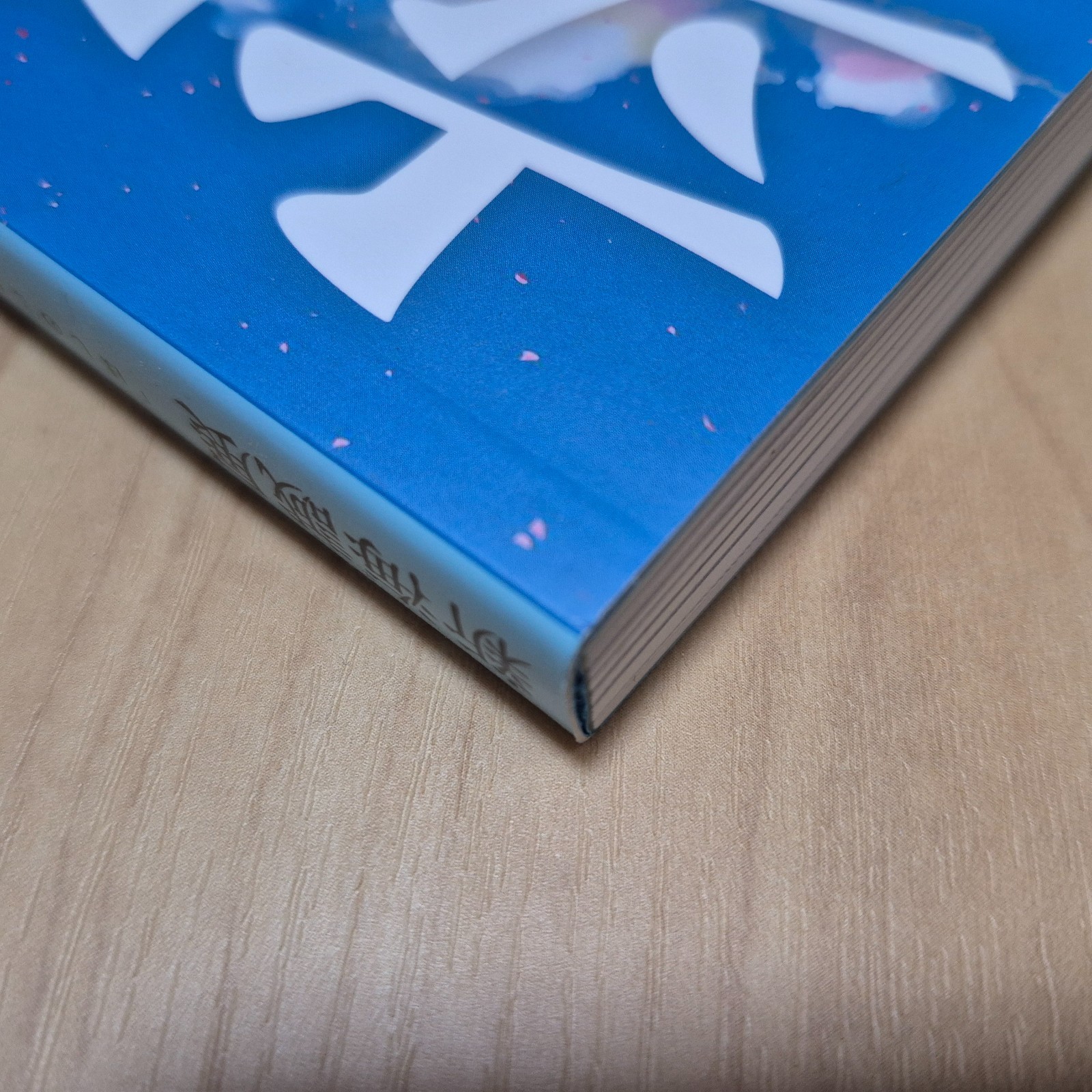 Makoto Shinkai Exhibition – Animation Production Feature Book Shinkai Makoto