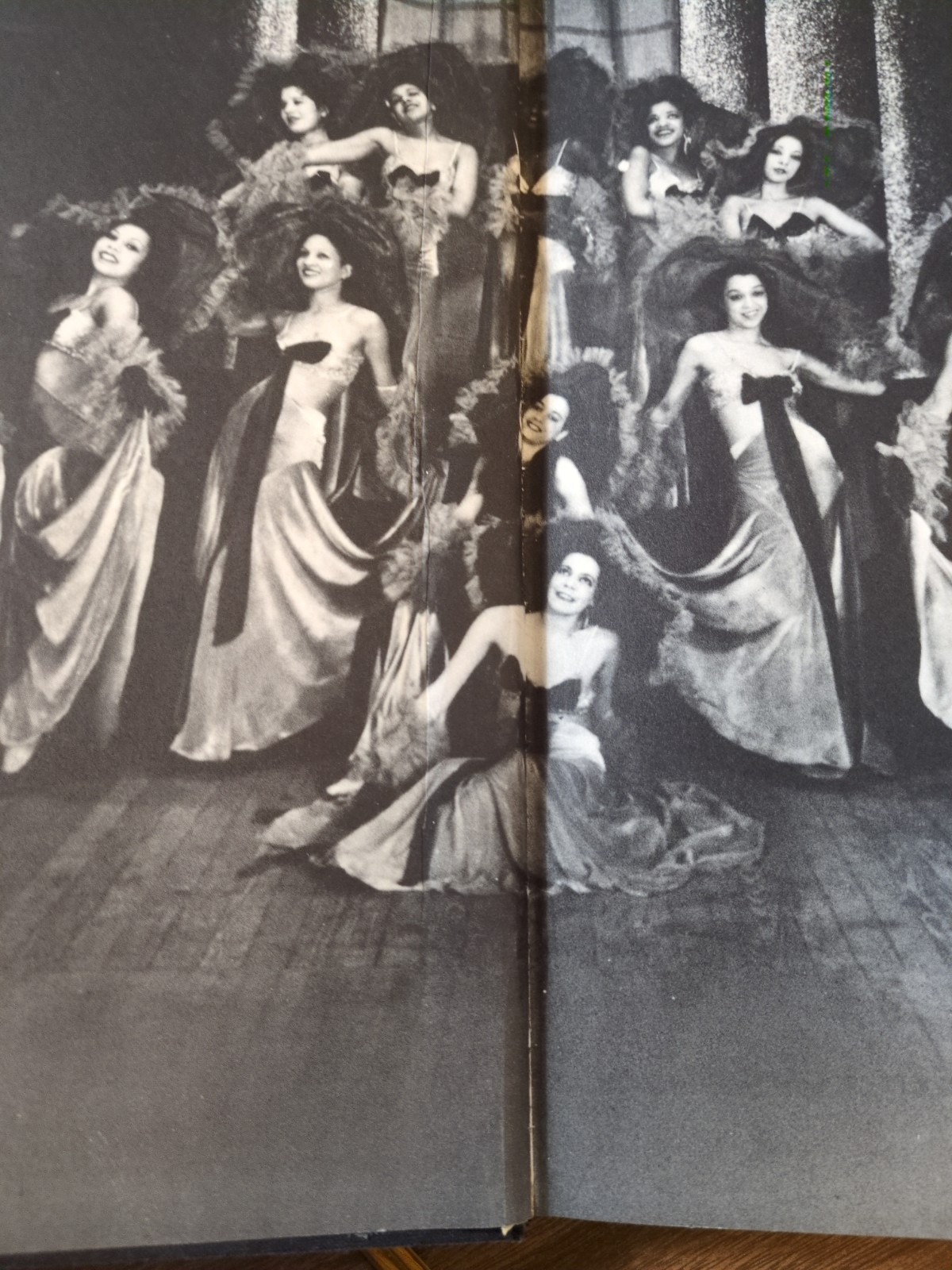The Cotton Club by Jim Haskins 1977 First Edition Very Good