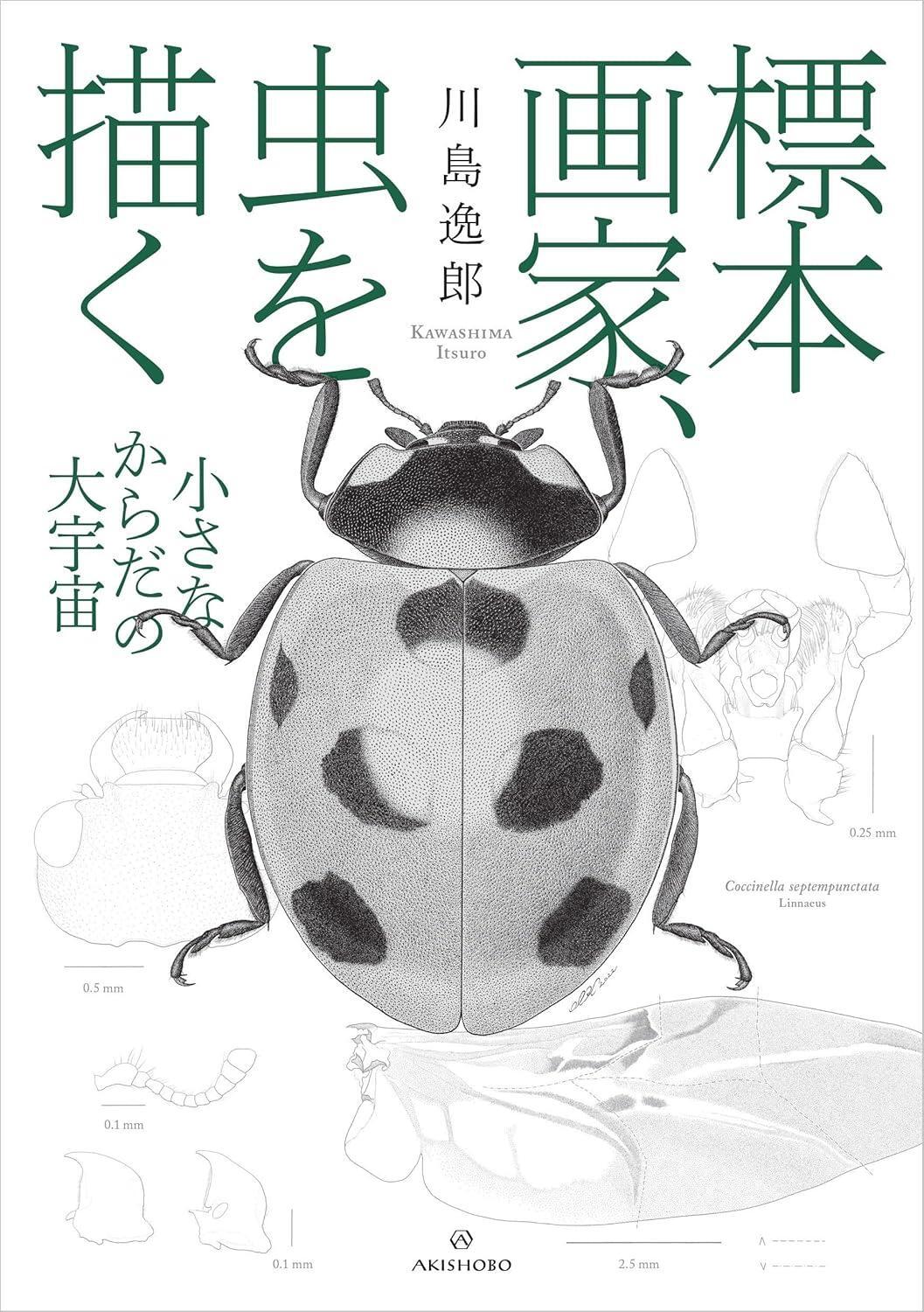 Book The Specimen Painter: Drawing Insects – The Great Universe of… Japanese
