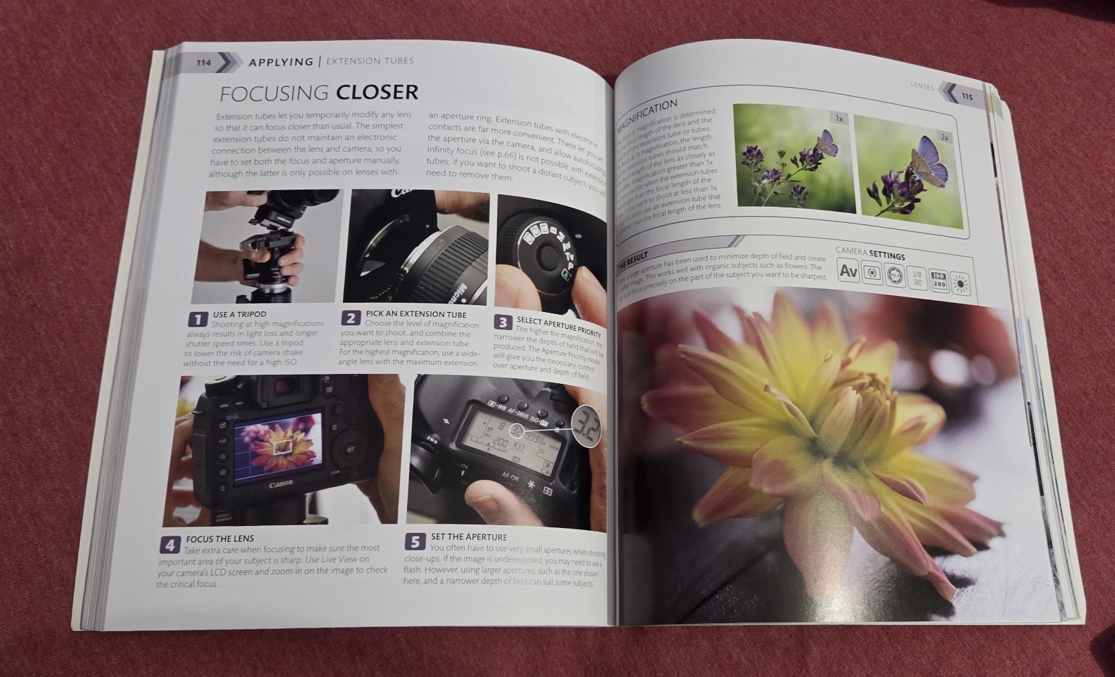 The Advanced Photography Guide: Expert Techniques to Take Your Digital Photo…
