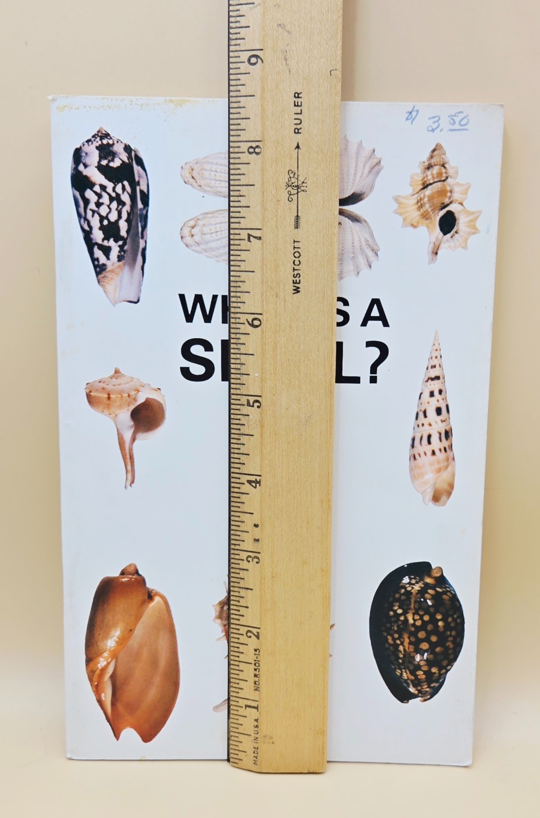 Vintage 1975 WHAT IS A SHELL? Educational Book, VERY GOOD, LN
