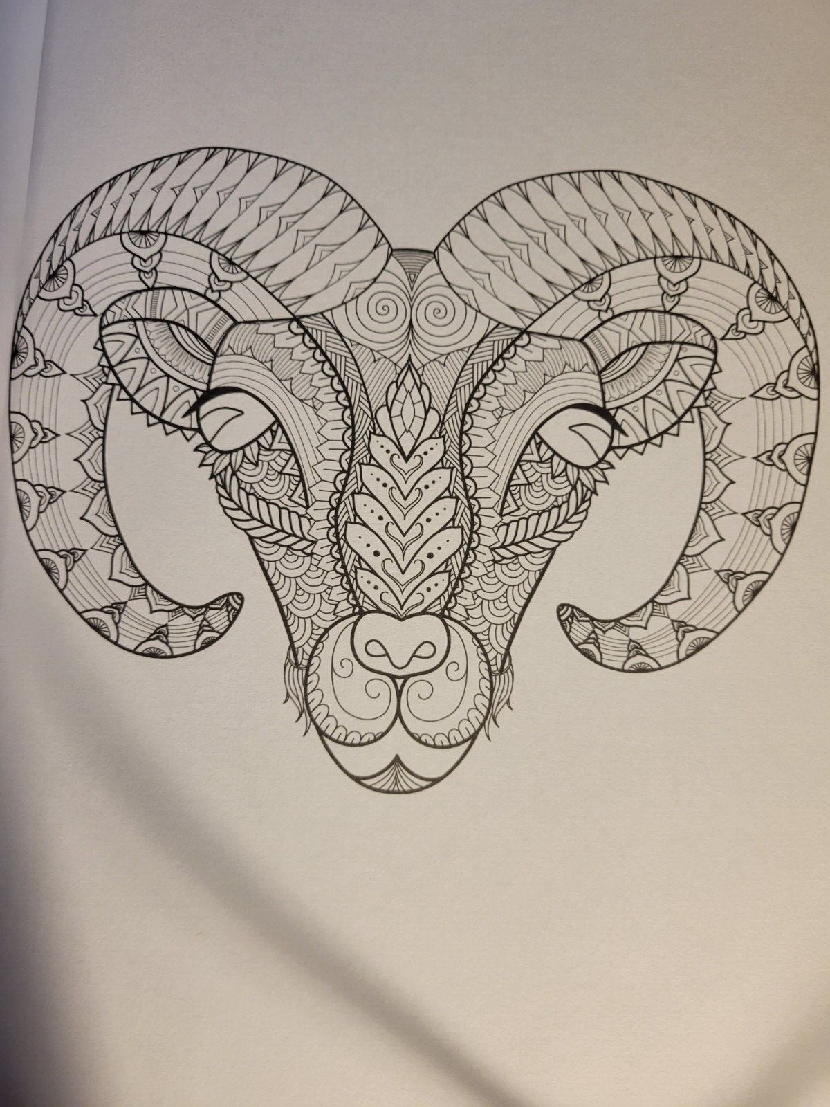 MAGNIFICENT CREATURES Vol 13 Adult Coloring Book by TOPIX MEDIA – 47 PRINTS