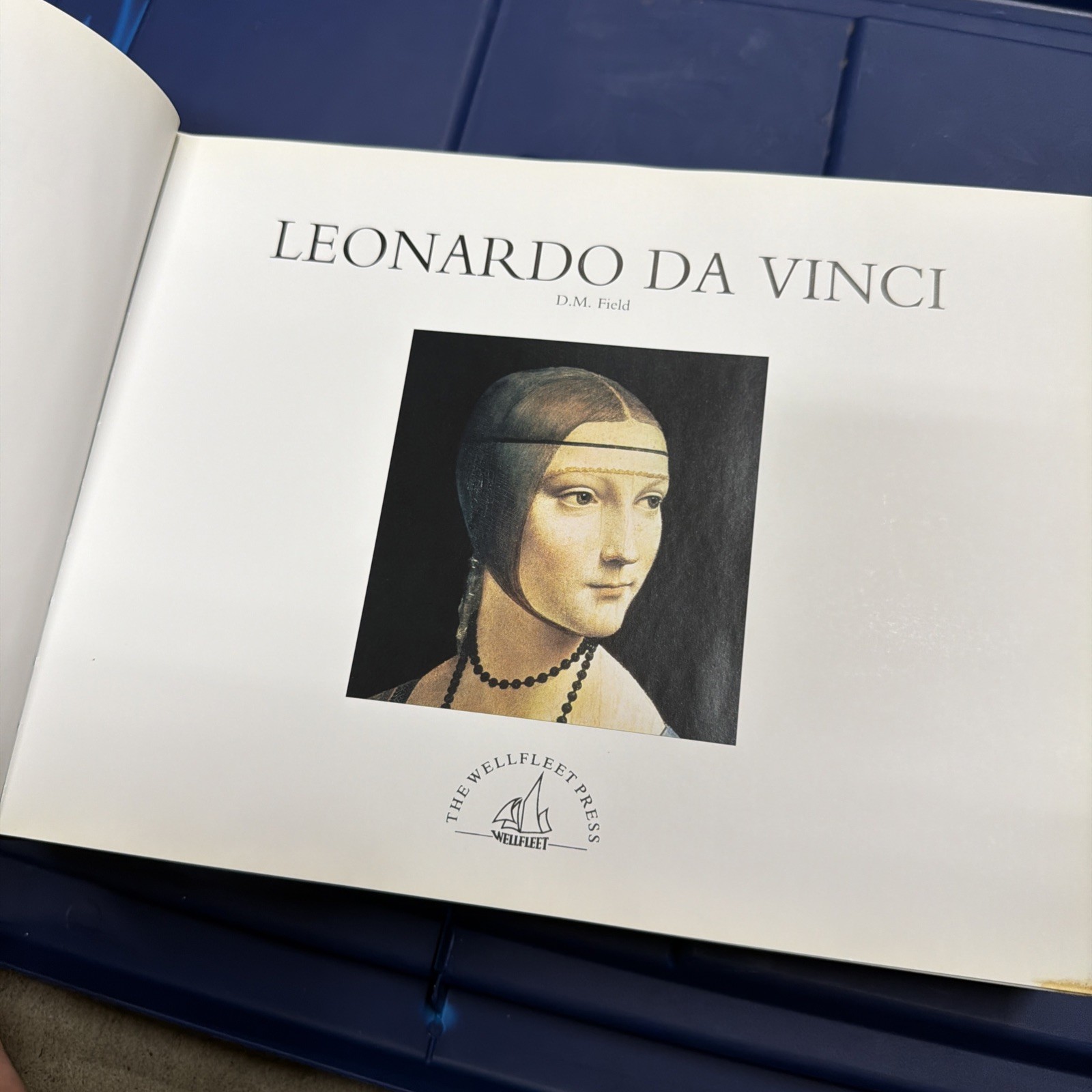 Leonardo Da Vinci by D. M. Field Multicolor Illustrated Hardcover Book