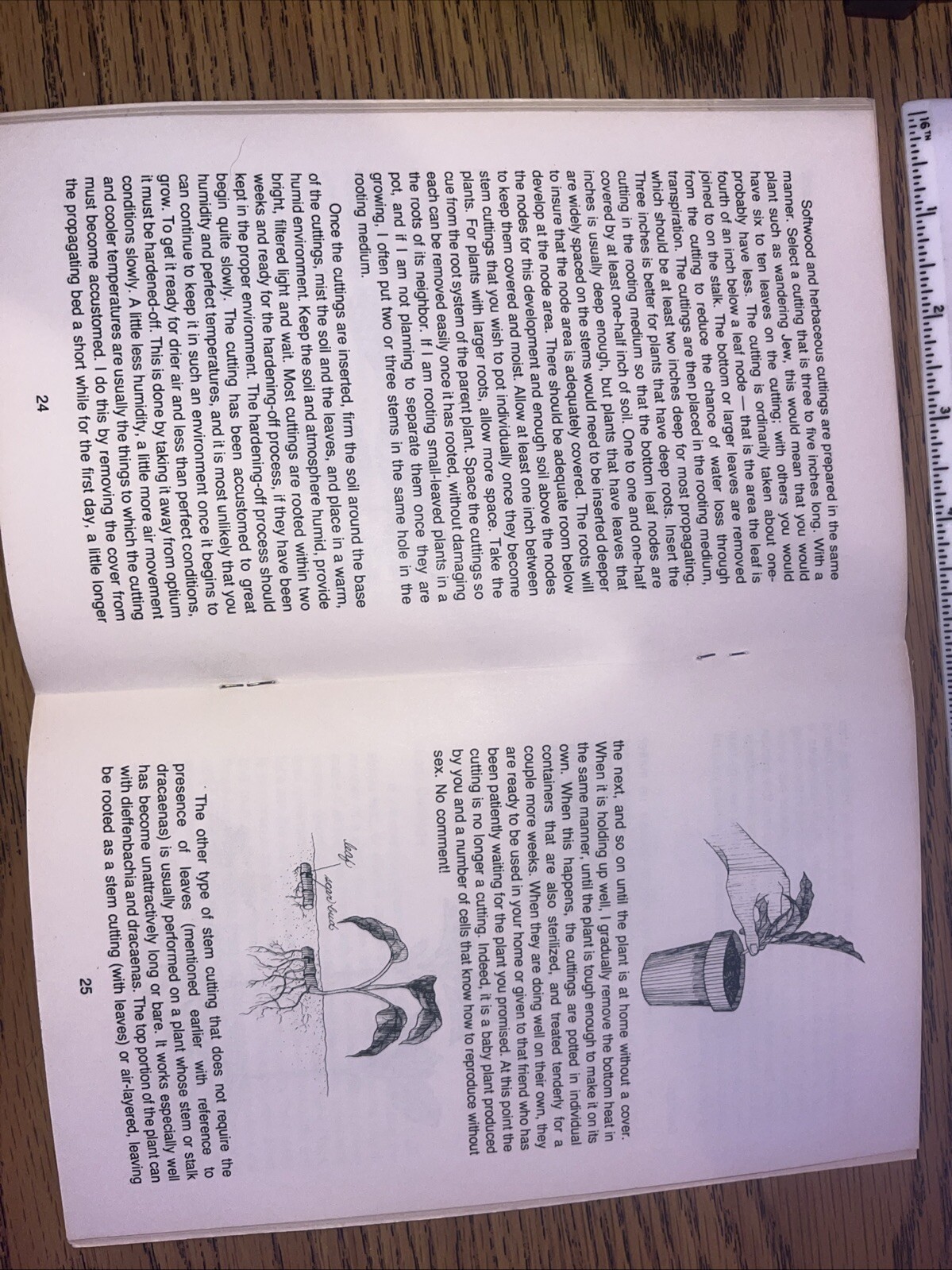 1976 Sex and the Single Plant Propagation Booklet Rex Mabe Potpourri Press