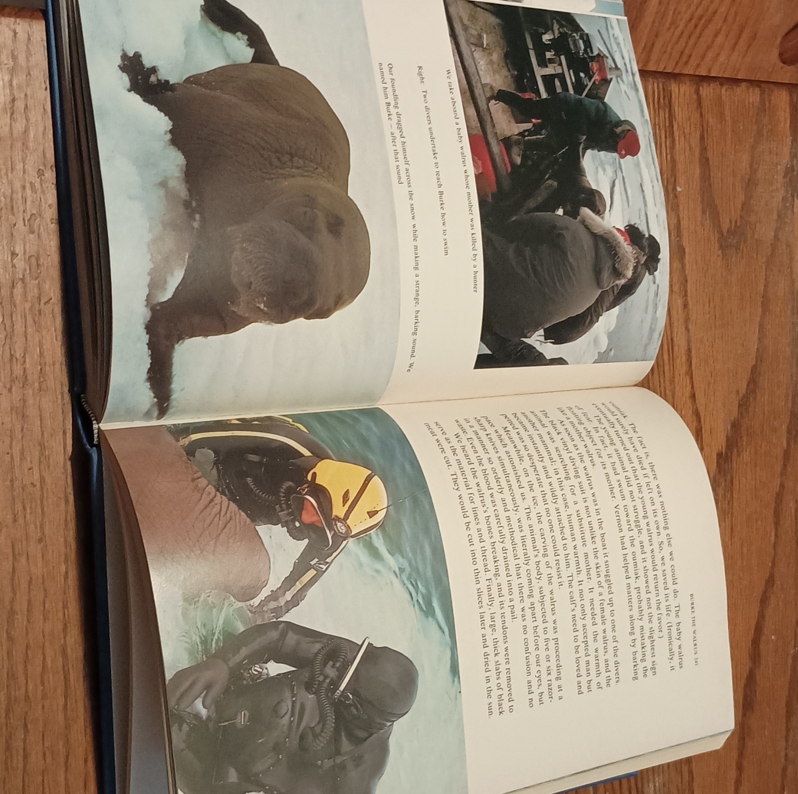 Jacques-Yves Cousteau Diving Companions First Edition Hardcover 1974 Illus