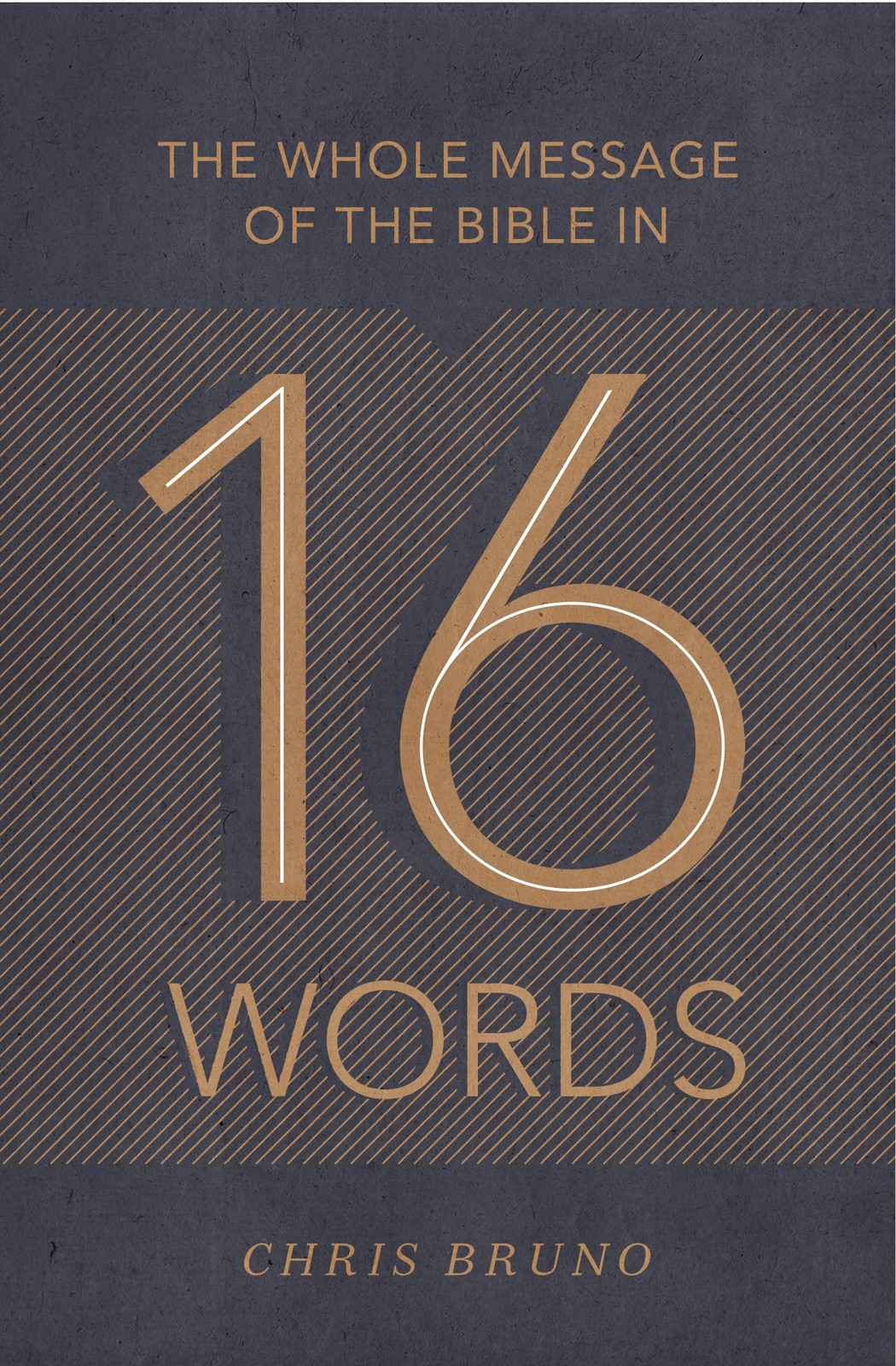 The Whole Message of the Bible in 16 Words – Bruno, Chris – Good – See condi…