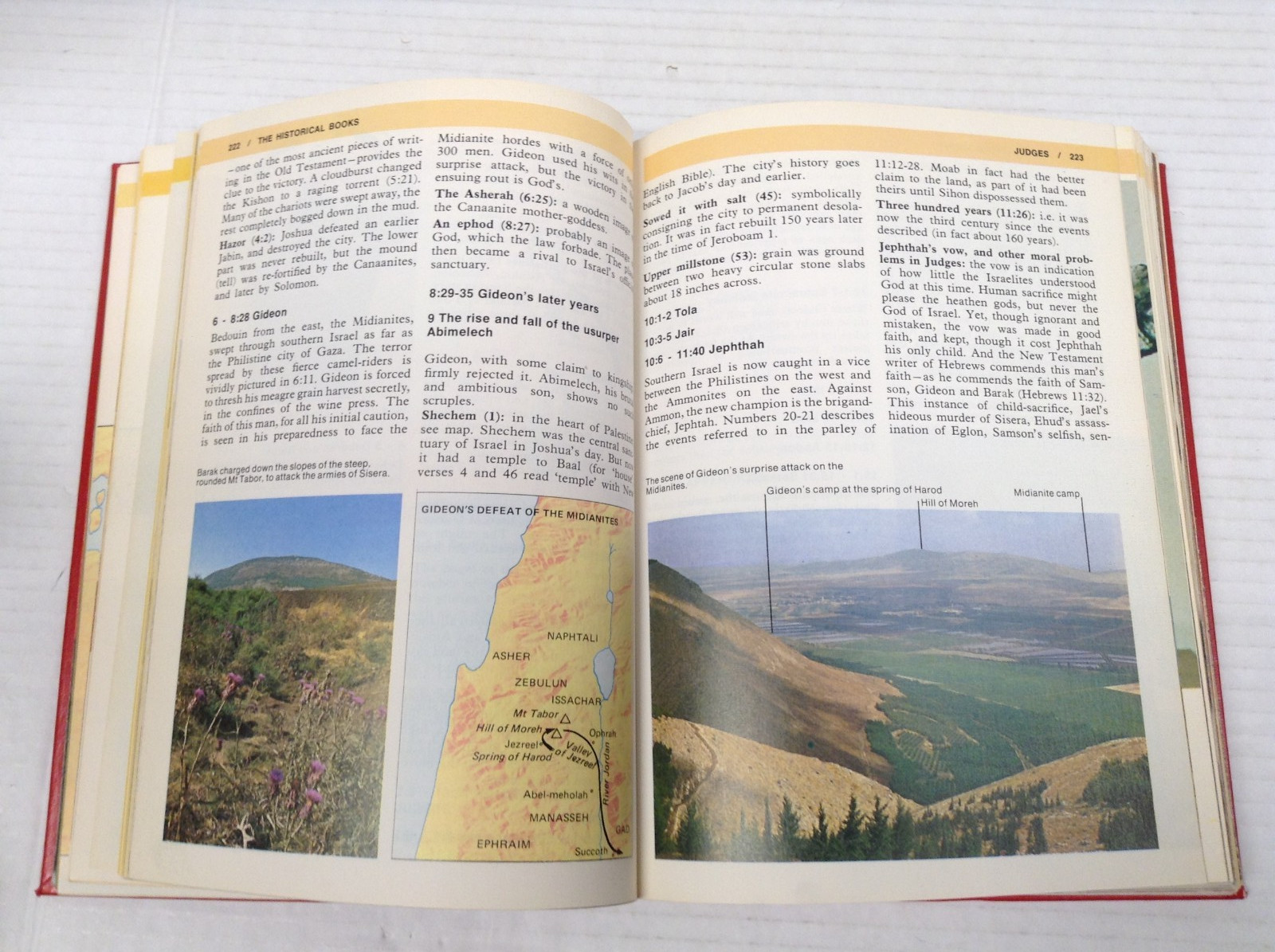 EERDMANS HANDBOOK TO THE BIBLE hc FIRST EDTION D. Alexander 1973