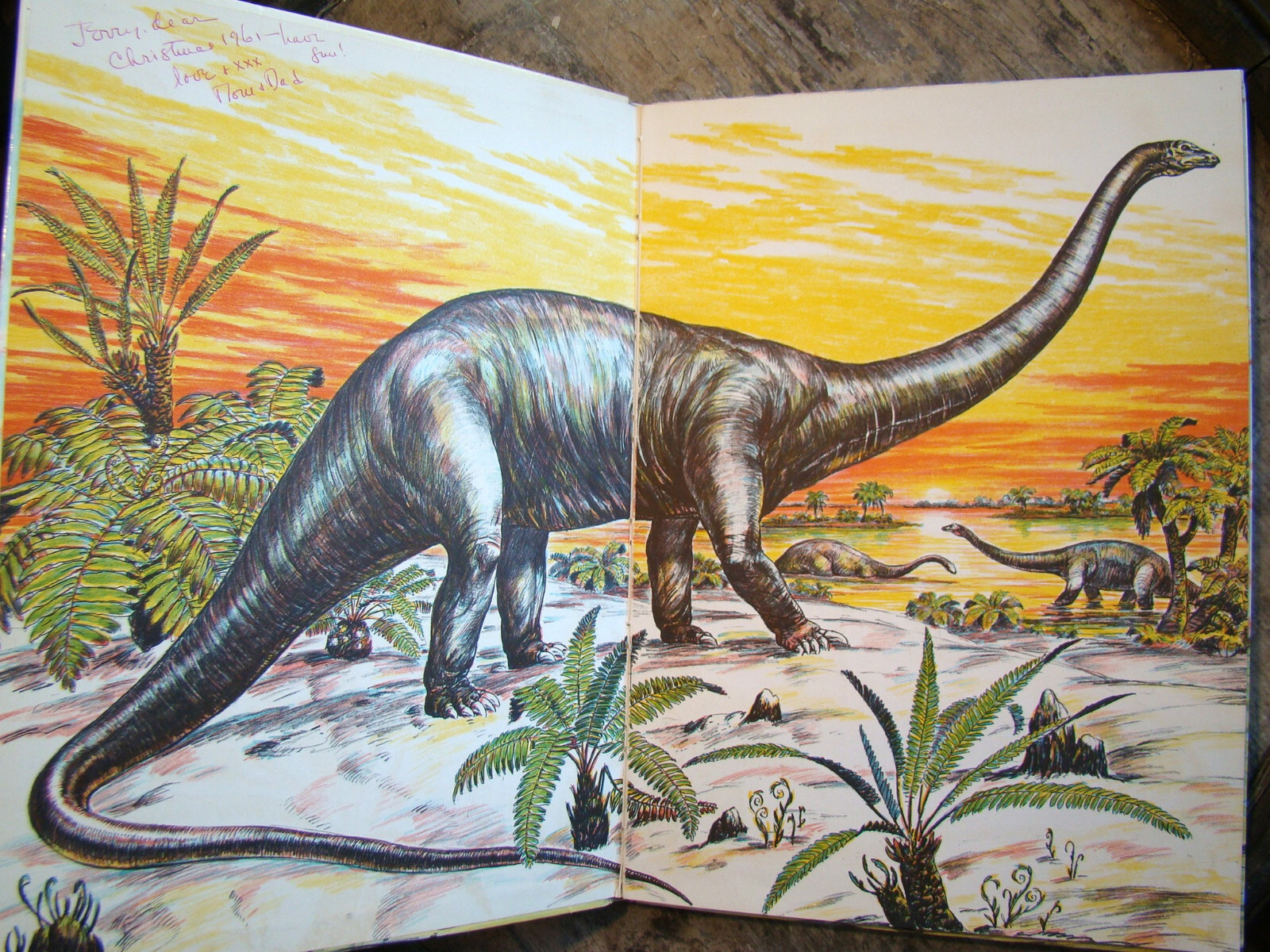 The Age Of Reptiles ~1958 HC~ Shuttlesworth Children’s Prehistoric Dinosaurs 🦖