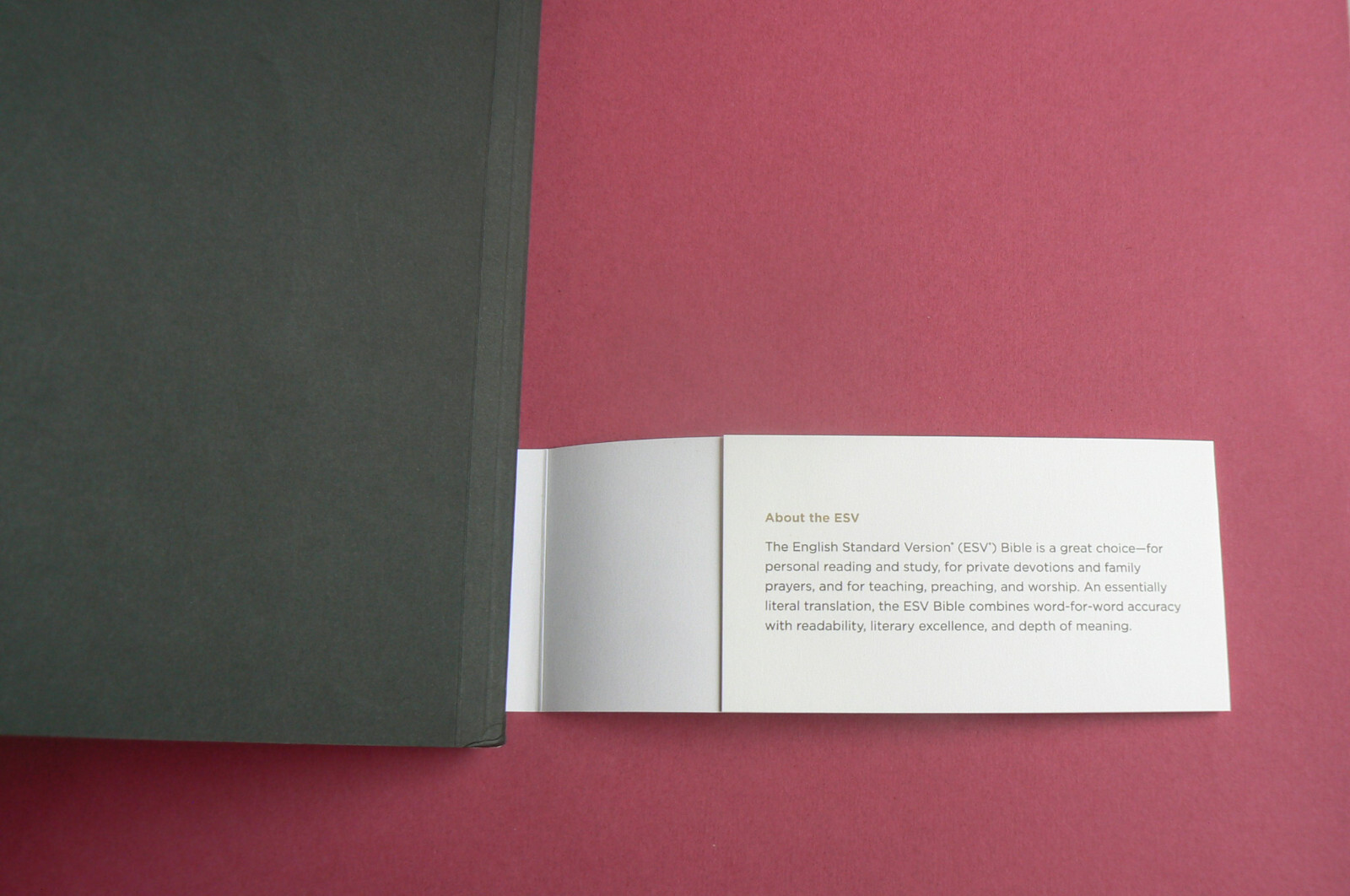 ESV English Standard Version ACTS Scripture Journal,Gift Quality,Truth for Life