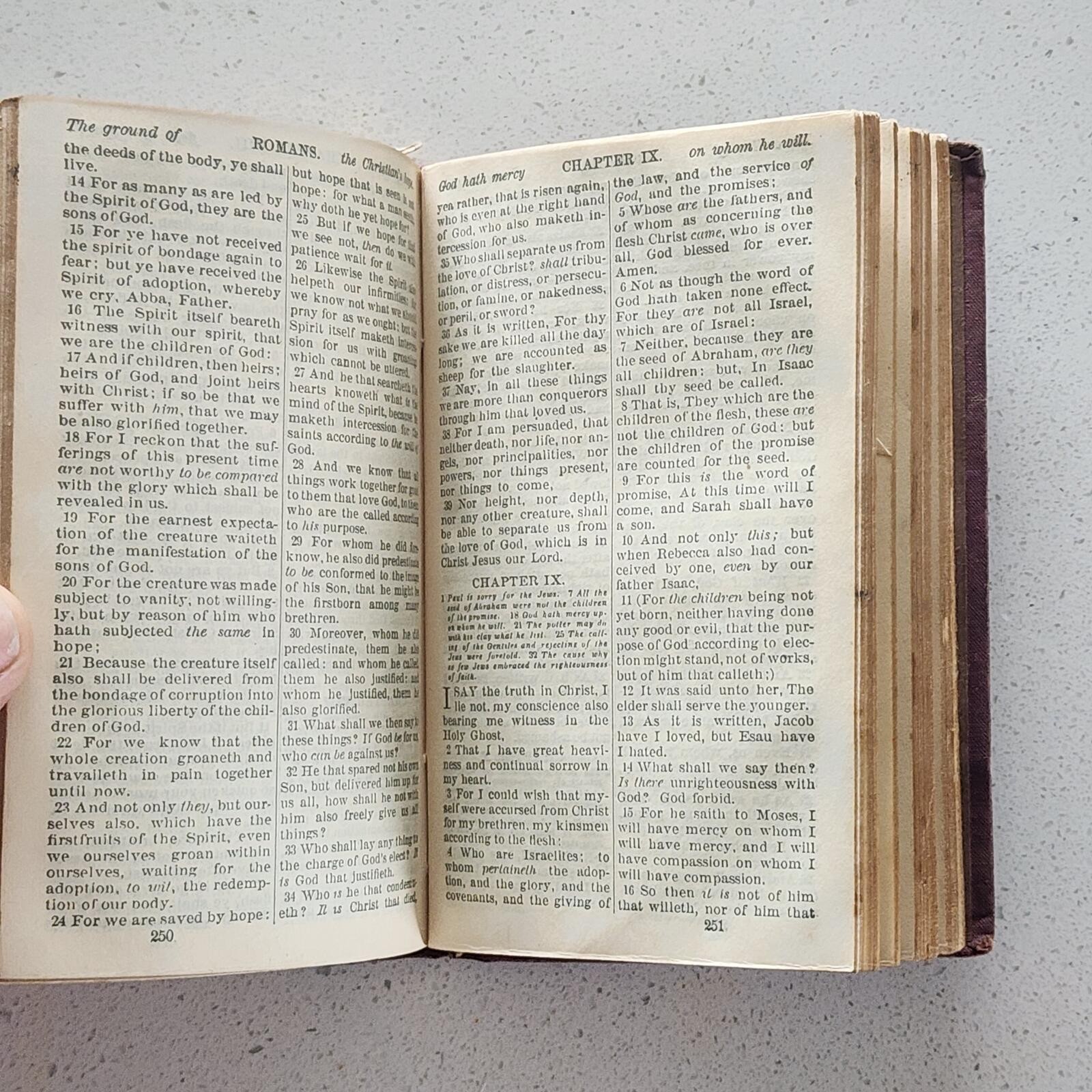 1889 New Testament Pocket Bible American Bible Society Gilt Edges Antique