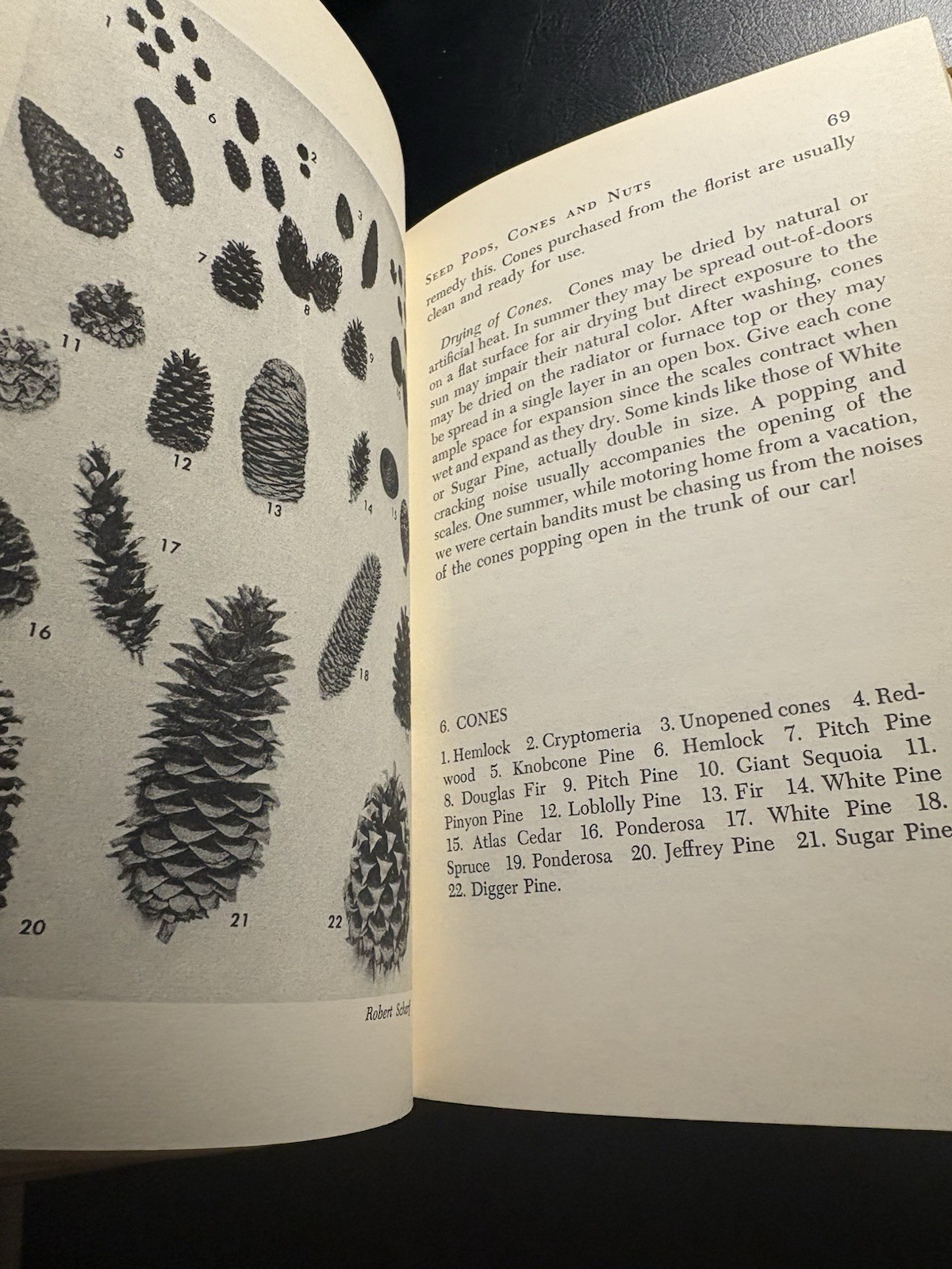 Art of Drying Plants and Flowers – Mabel Squires – Bonanza Books HC w/DJ 1958