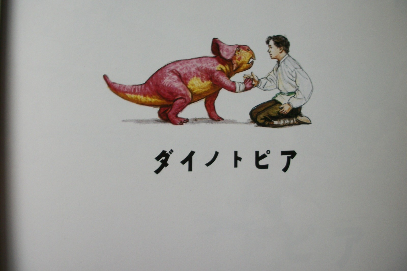 Dinotopia by James Gurney – JAPANESE LANGUAGE Edition 1992 – Hardcover with DJ