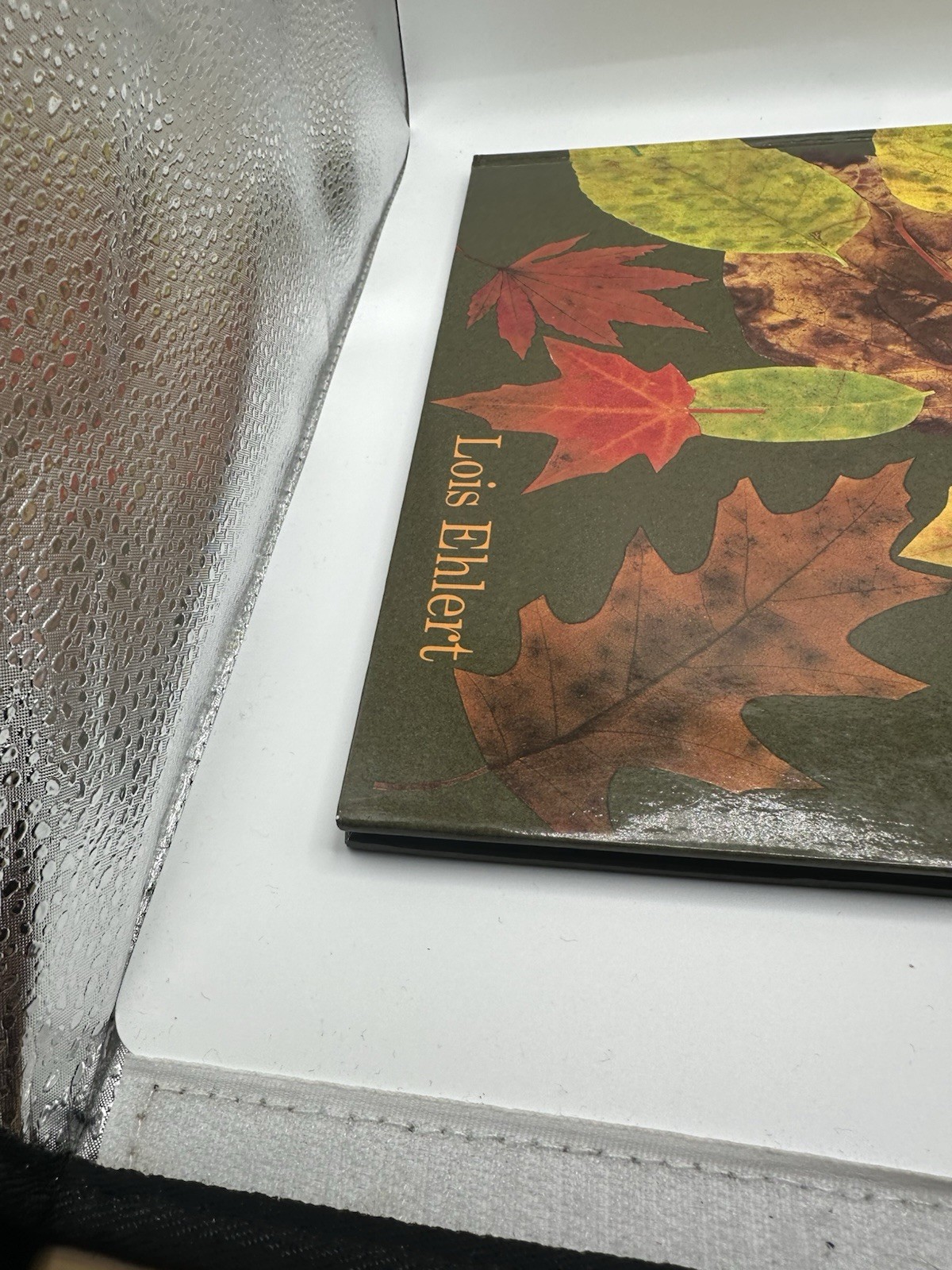Leaf Man By Lois Ehlert