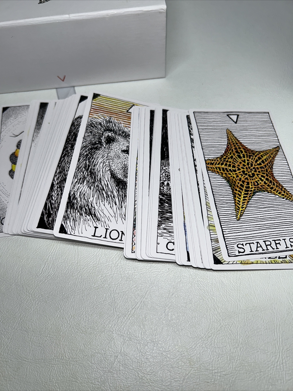 The Wild Unknown Ser.: The Wild Unknown Animal Spirit Deck and Guidebook…