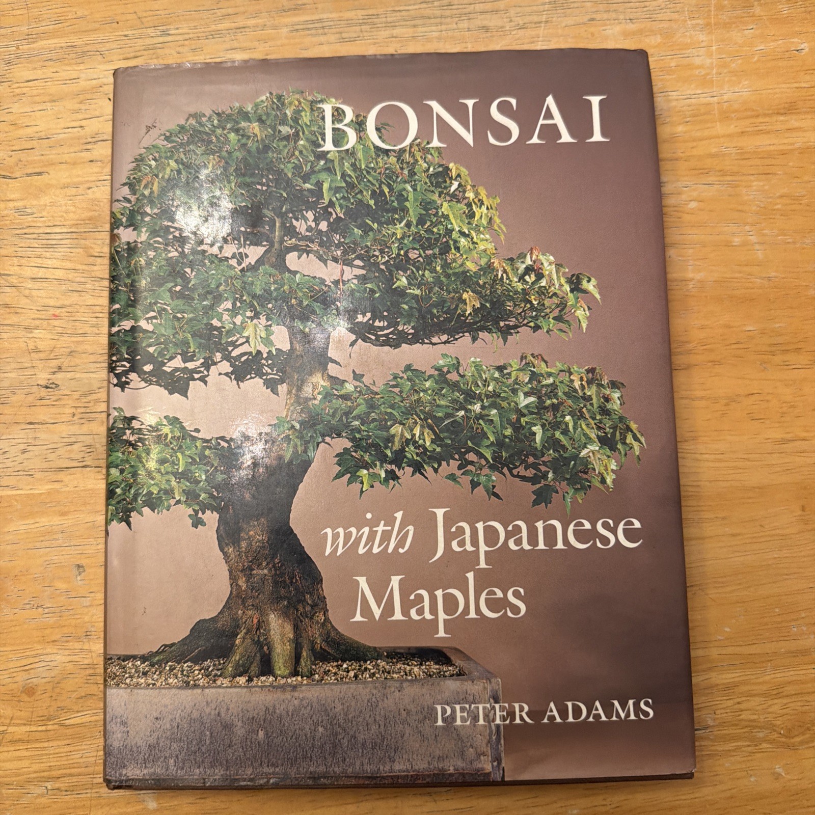 BONSAI WITH JAPANESE MAPLES By Peter Adams – Hardcover , Highlighting 10 Pages