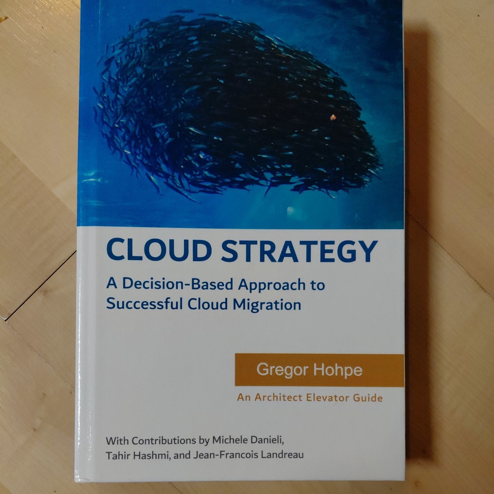 Cloud Strategy: A Decision-Based Approach to Successful Clou… by Hohpe, Gregor