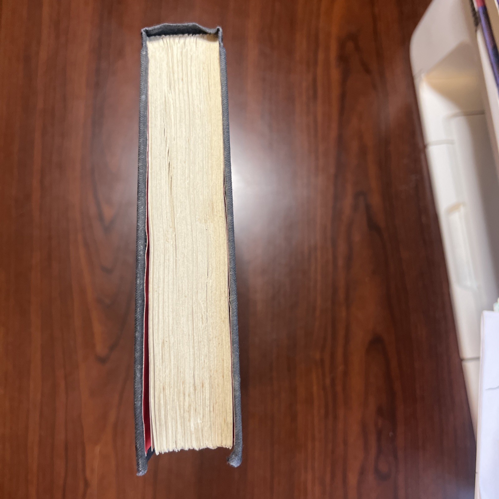 “Pet Sematary” ~ Stephen King: Y38 TRUE First Edition 1st Printing