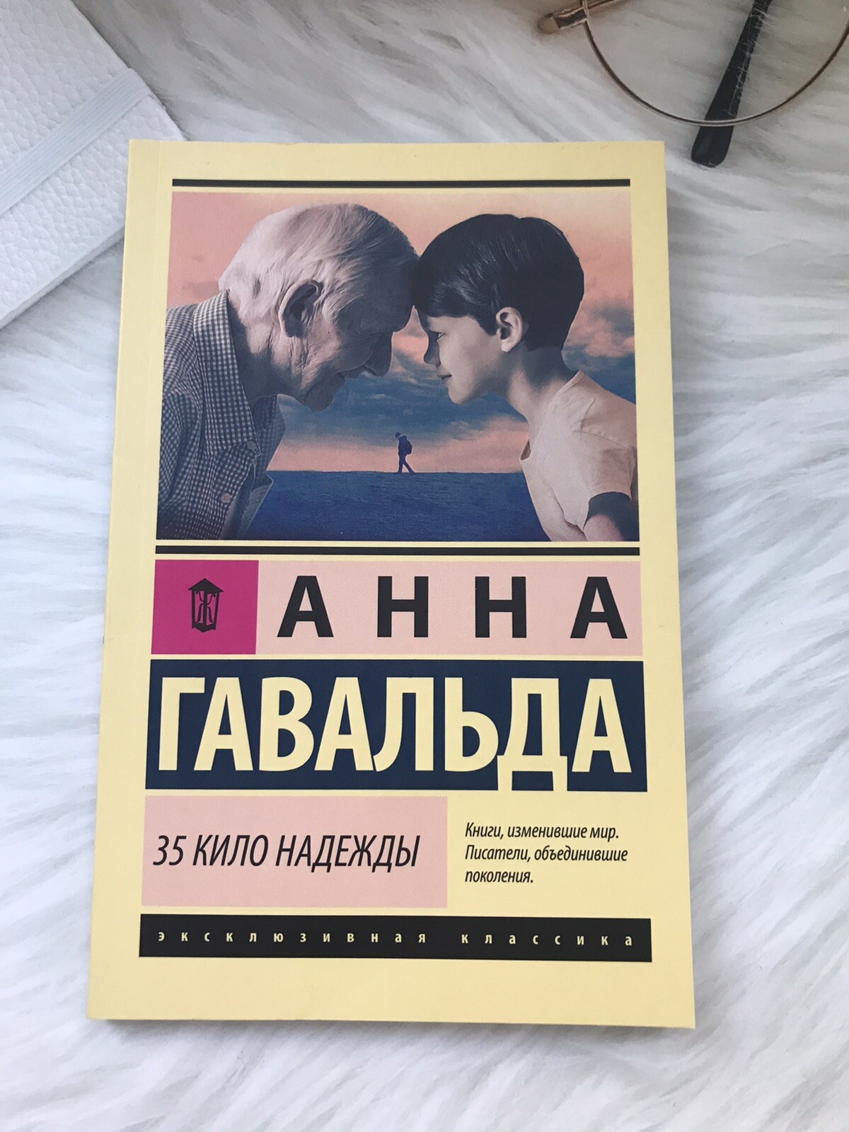 Анна Гавальда 35 КИЛО НАДЕЖДЫ Мягкая обл book in Russian Эксклюзивная классика