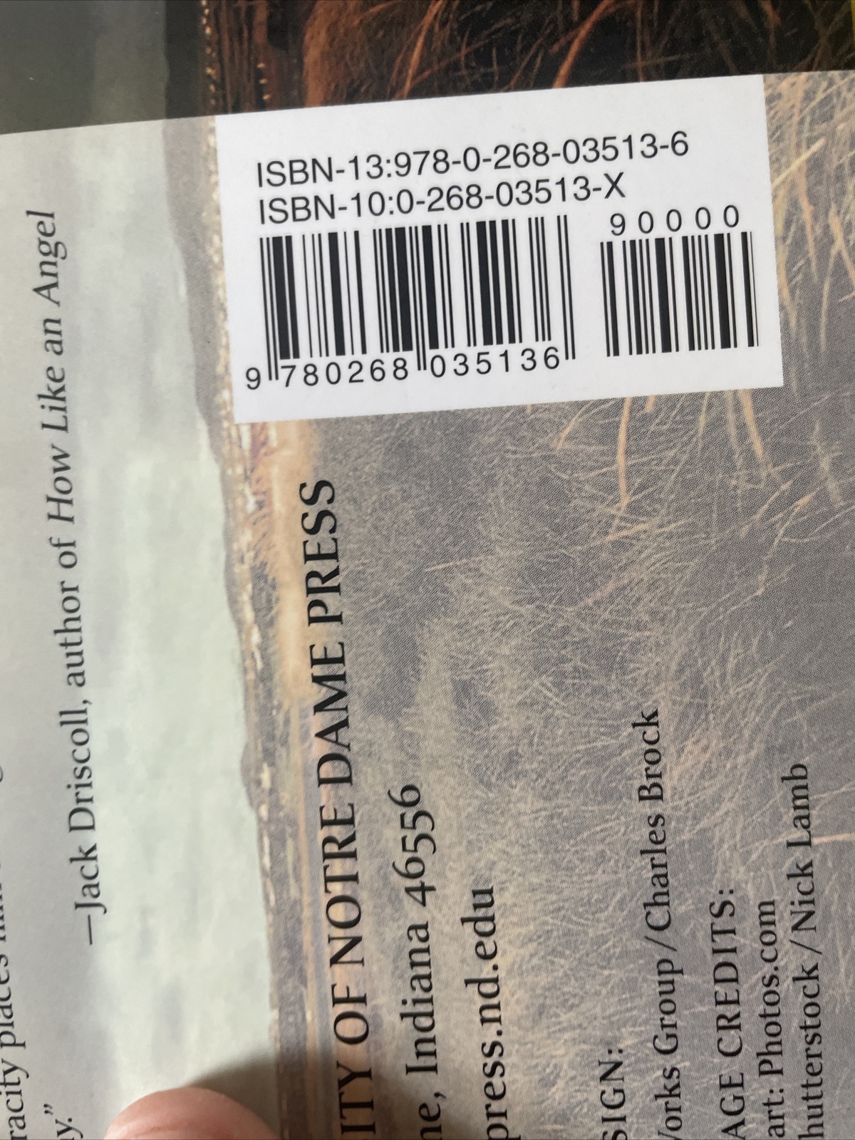 Spirits in the Grass Hardcover Bill Meissner
