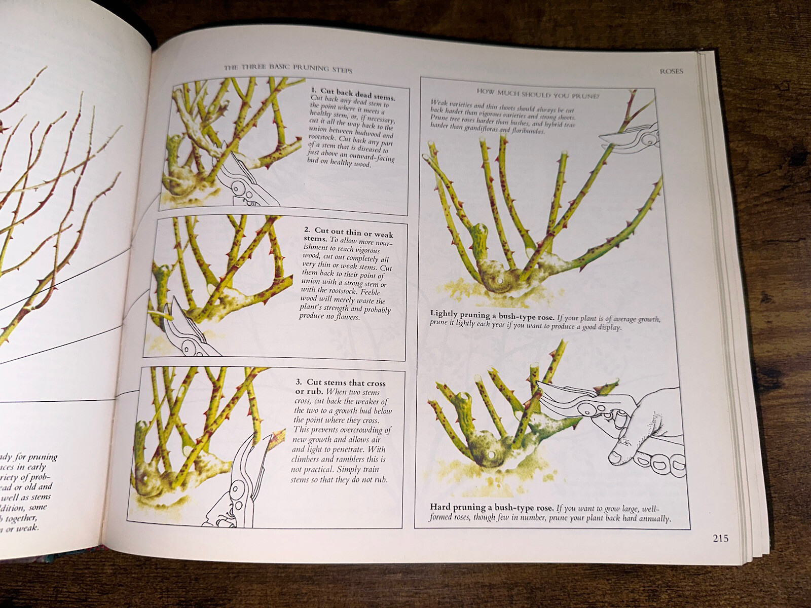 Vintage 1978 Reader’s Digest Illustrated Gardening 672 Pages Hardcover Book