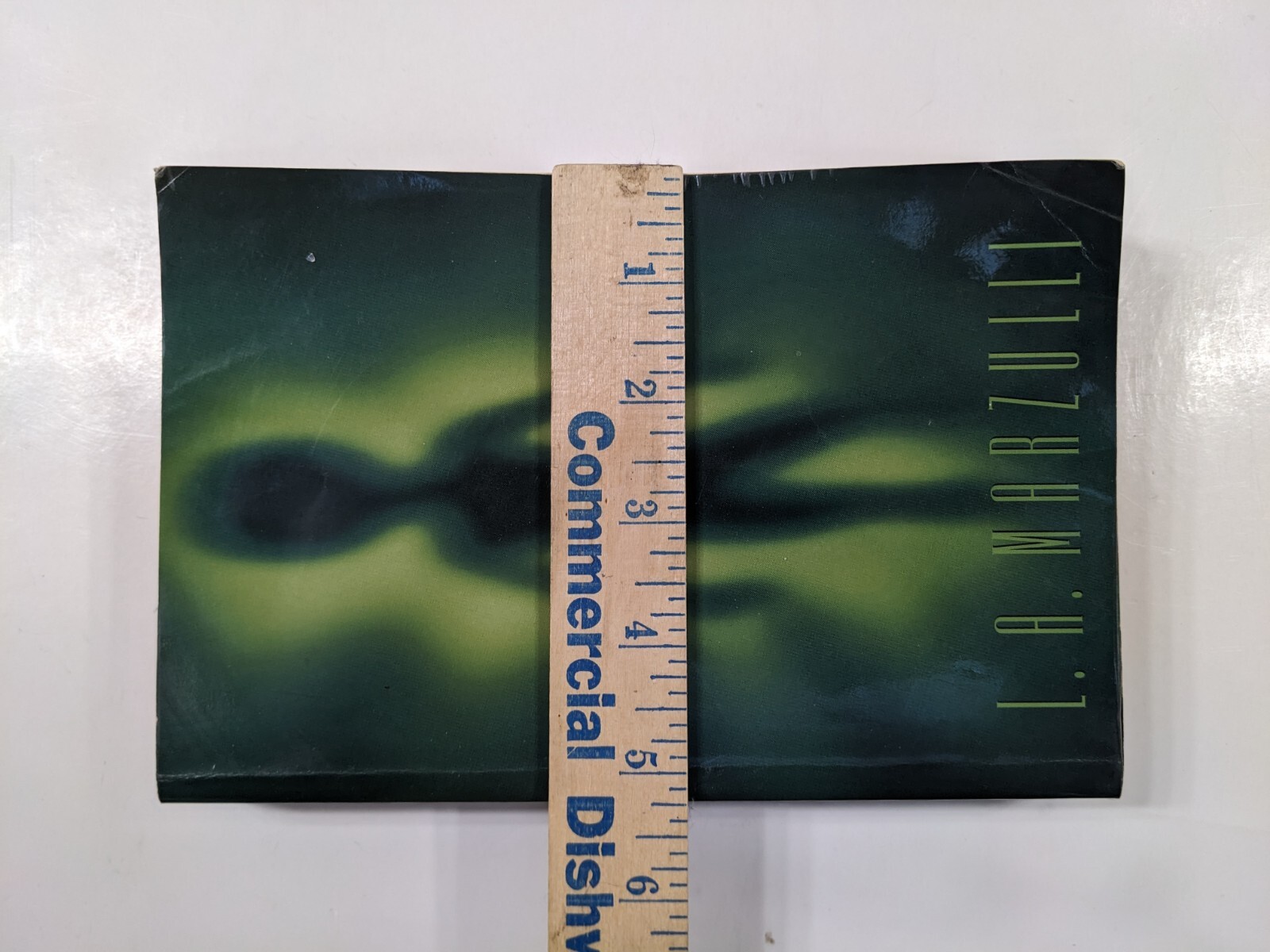 Nephilim The Truth Is Here book author L. A. Marzulli