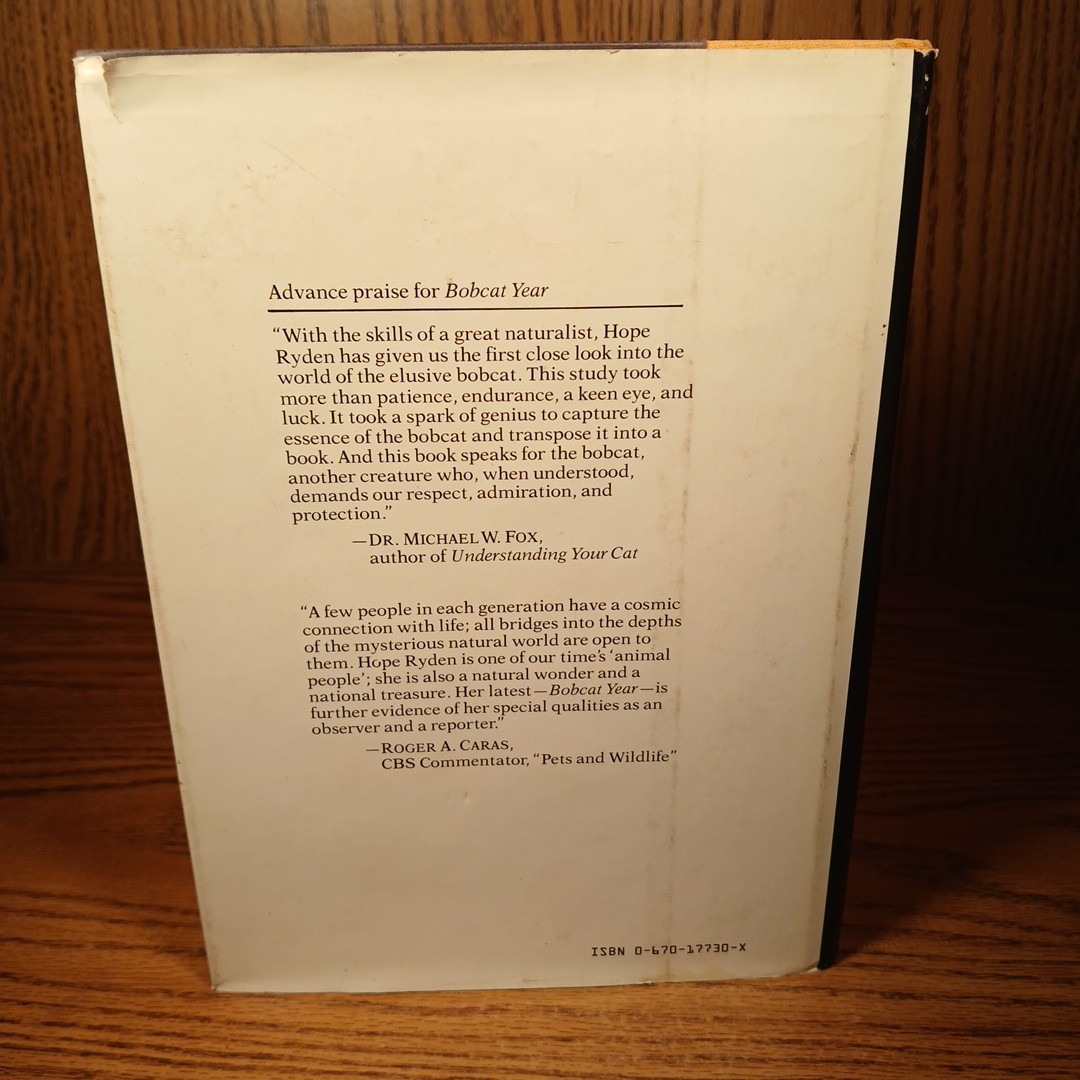 Bobcat Year By Hope Ryden 1981 Hardcover