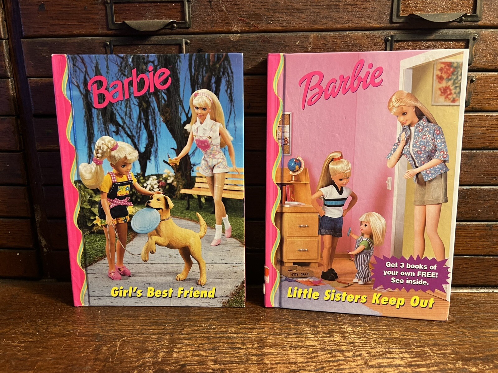 Lot of 19 Barbie: 18 Books, Xmas DVD; Step Reading 2 3; Golden; Fashion, Puppies