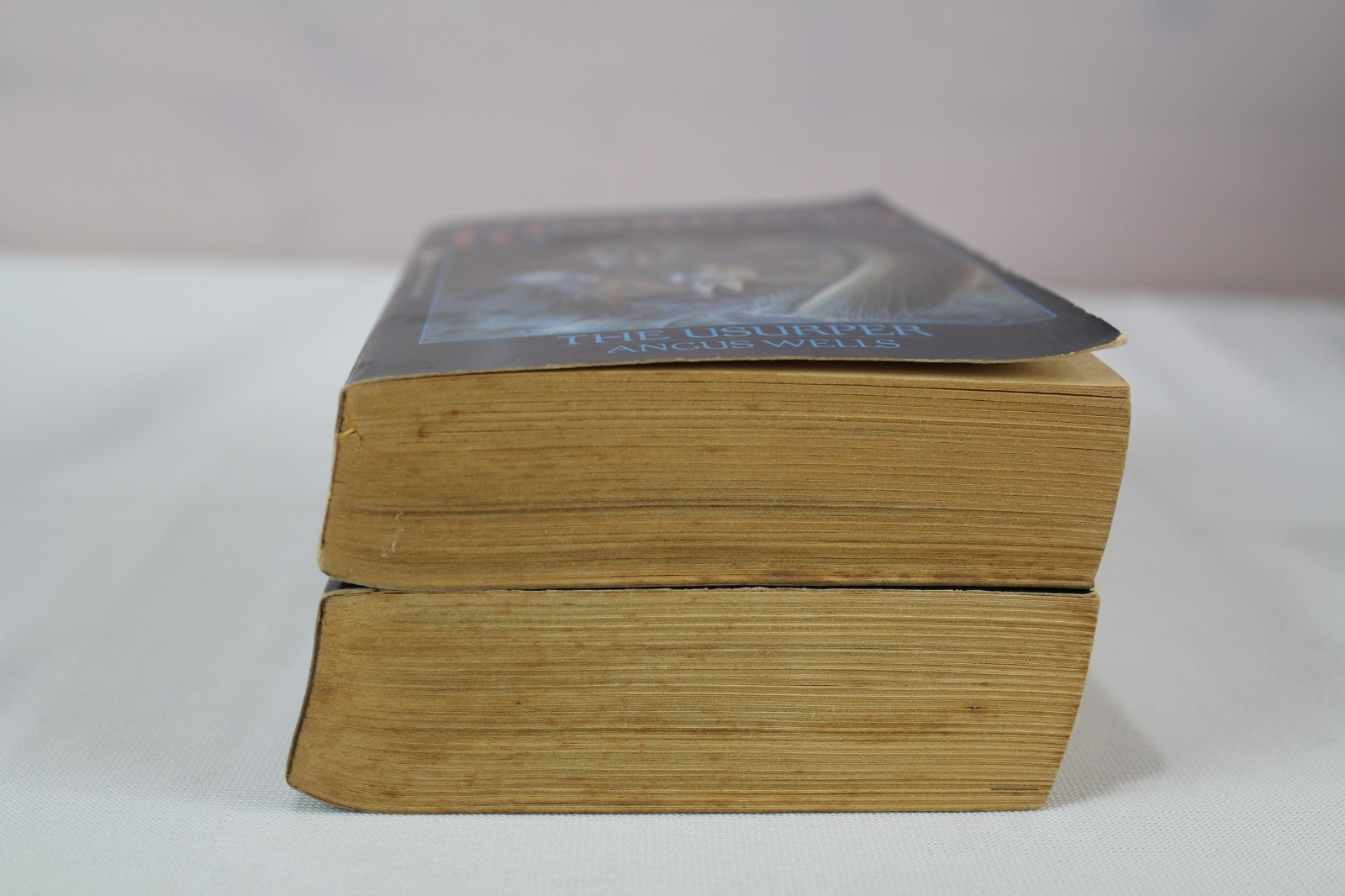 The Kingdoms Series by Angus Wells Books 1 and 2, PB, Fantasy