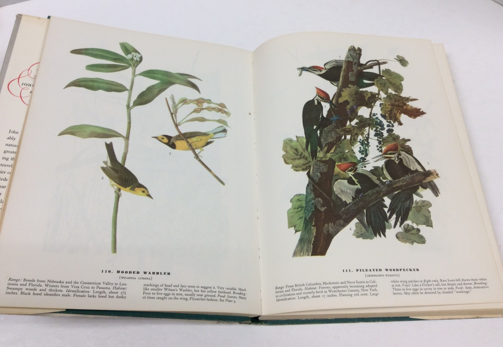 THE BIRDS OF AMERICA John James Audubon Illustrated HC 1967