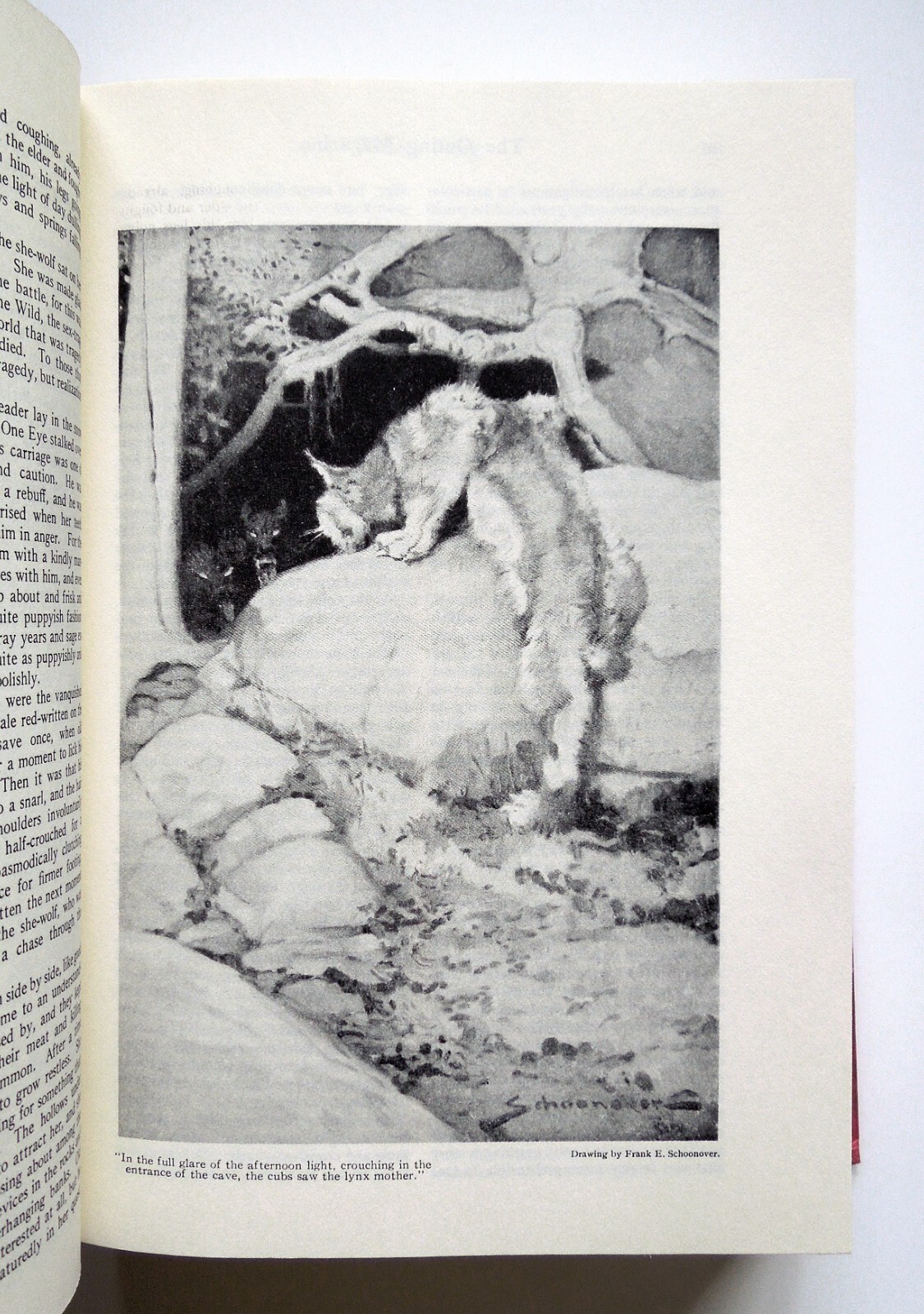 Tales of the North (Facsimile Edition) – Jack London, 1979 hc w/dj, Castle