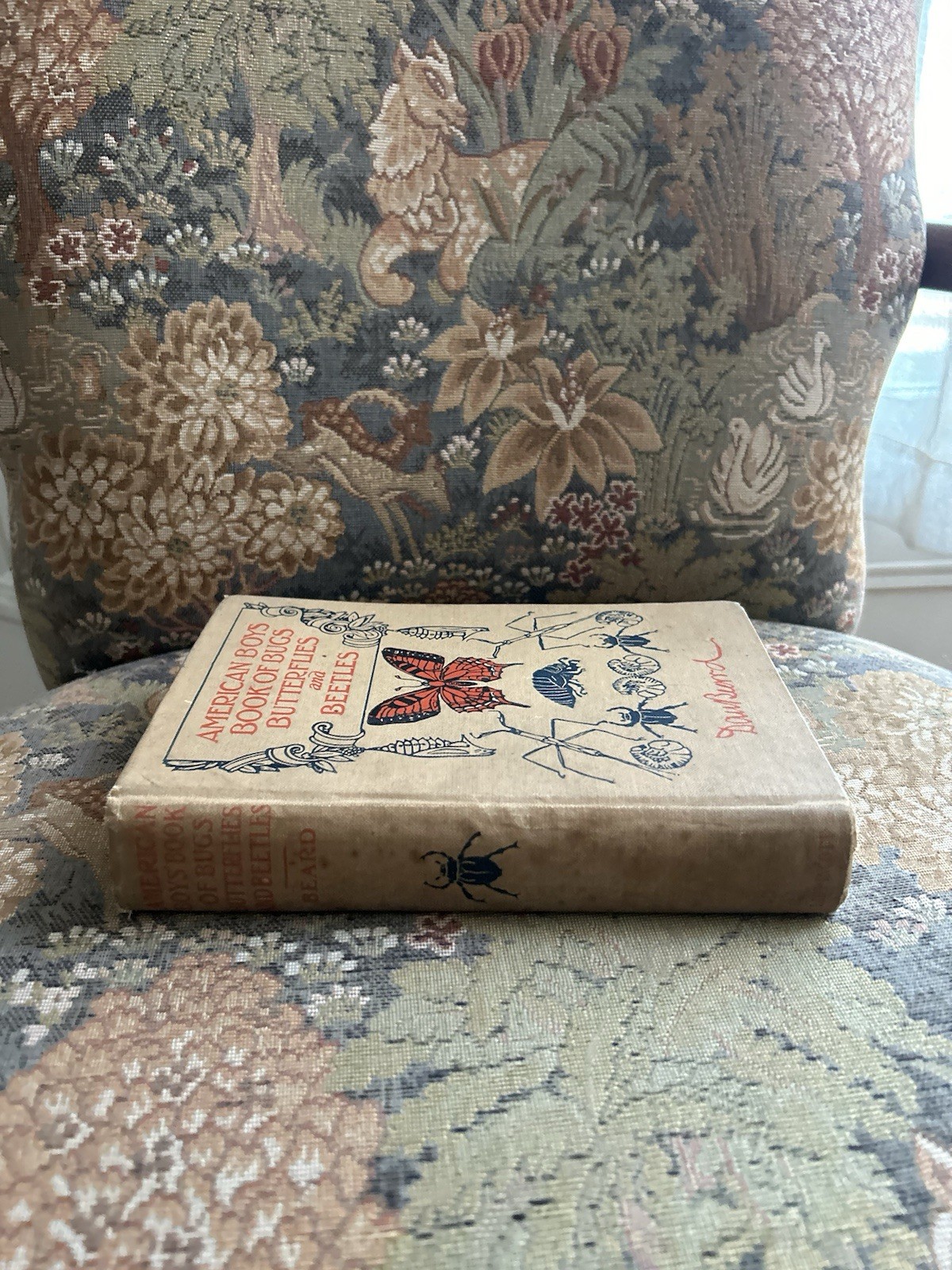 American Boys Book of Bugs Butterflies and Beetles Dan Beard 1932 Scarce