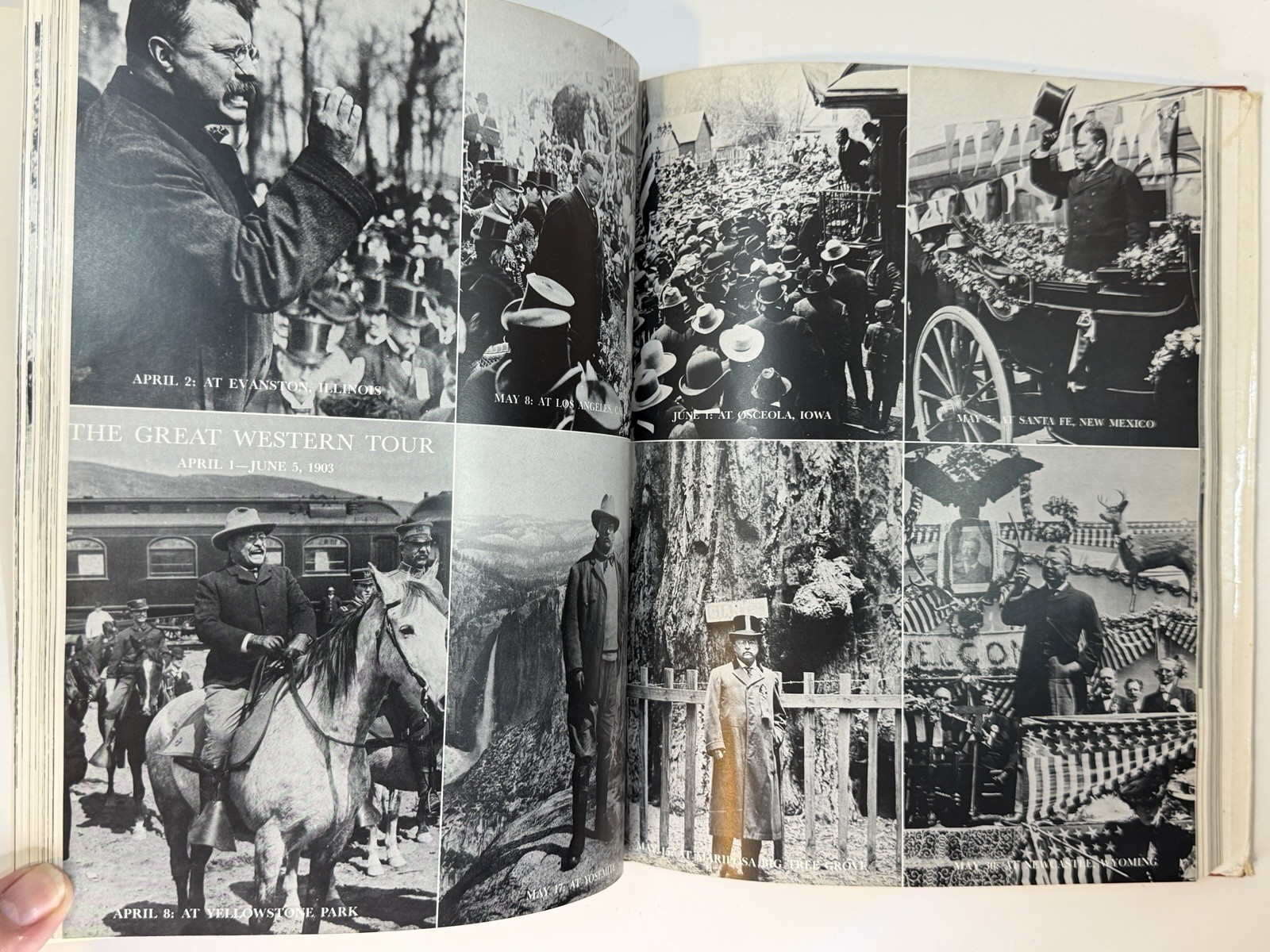 SIGNED 1st Ed 1959: Life & Times of Theodore Roosevelt by Lorant HC/DJ 📖