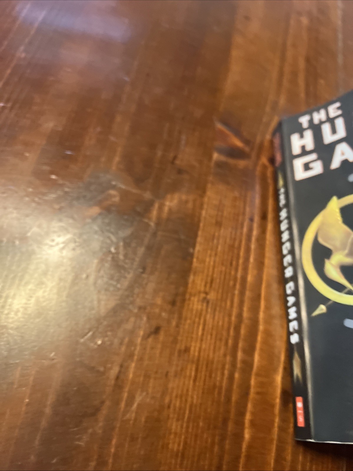 The Hunger Game By Susan Collins.
