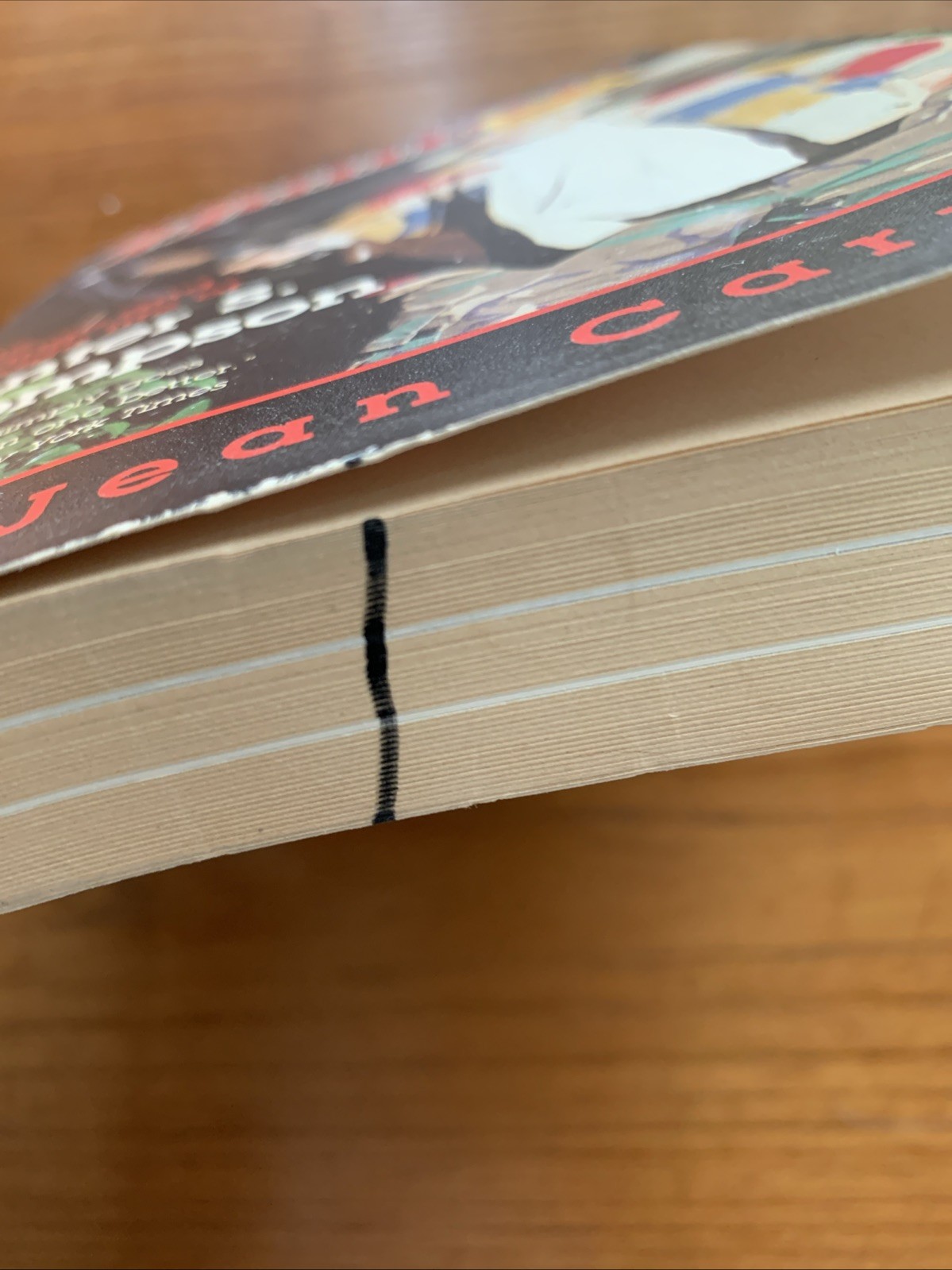Hunter: The Strange and Savage Life of Hunter S. Thompson by E. Jean Carroll
