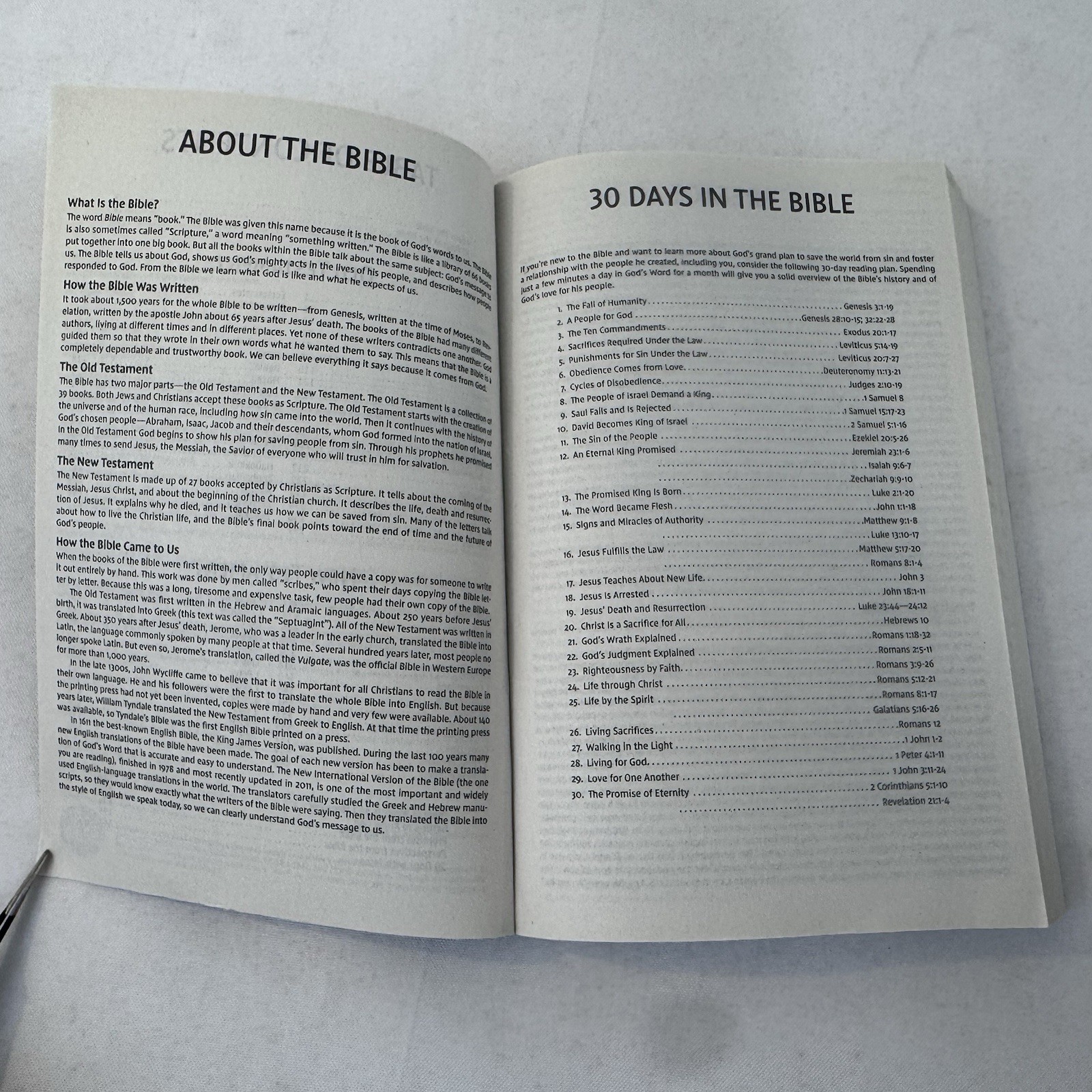 NEW NIV, Holy Bible for Kids, Economy Edition, Paperback Comfort Print Fast Ship