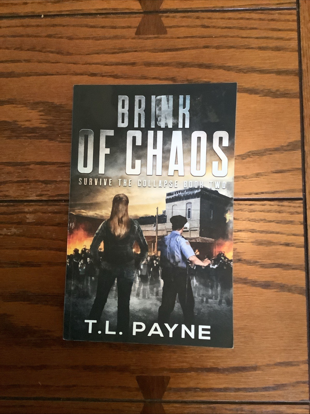 Days of Want Series 4 Book Lot T.L. Payne Paperback Survive Collapse Houston