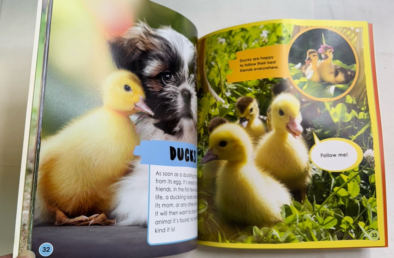 Animal Friends: Adorable Animal Besties, Super Cute By Camilla De La Bedoyere
