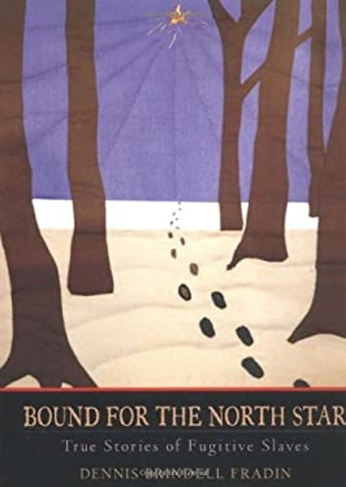 Bound for the North Star : True Stories of Fugitive Slaves Hardco