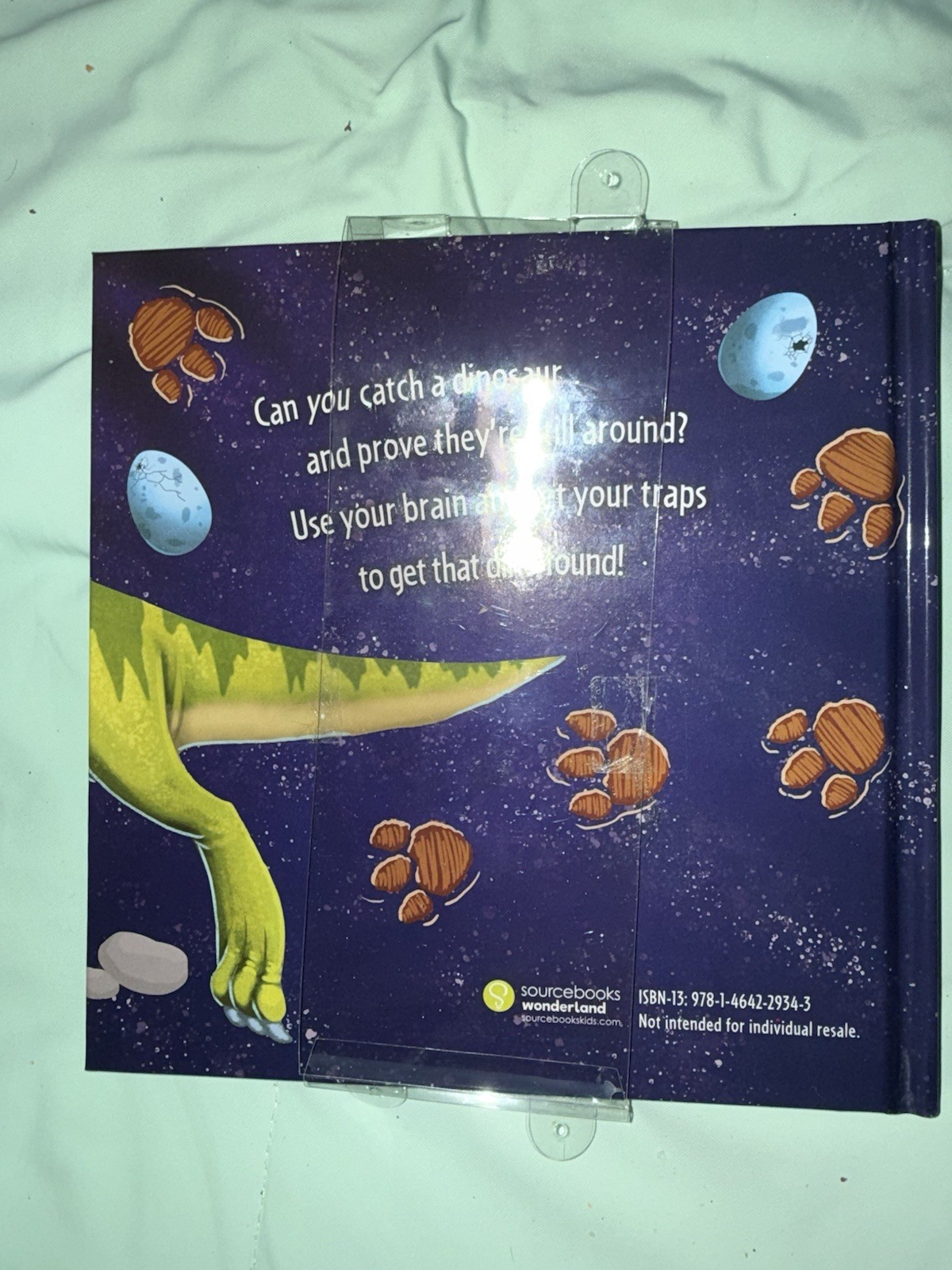 How to Catch a Dinosaur by Adam Wallace (English) Hardcover Book