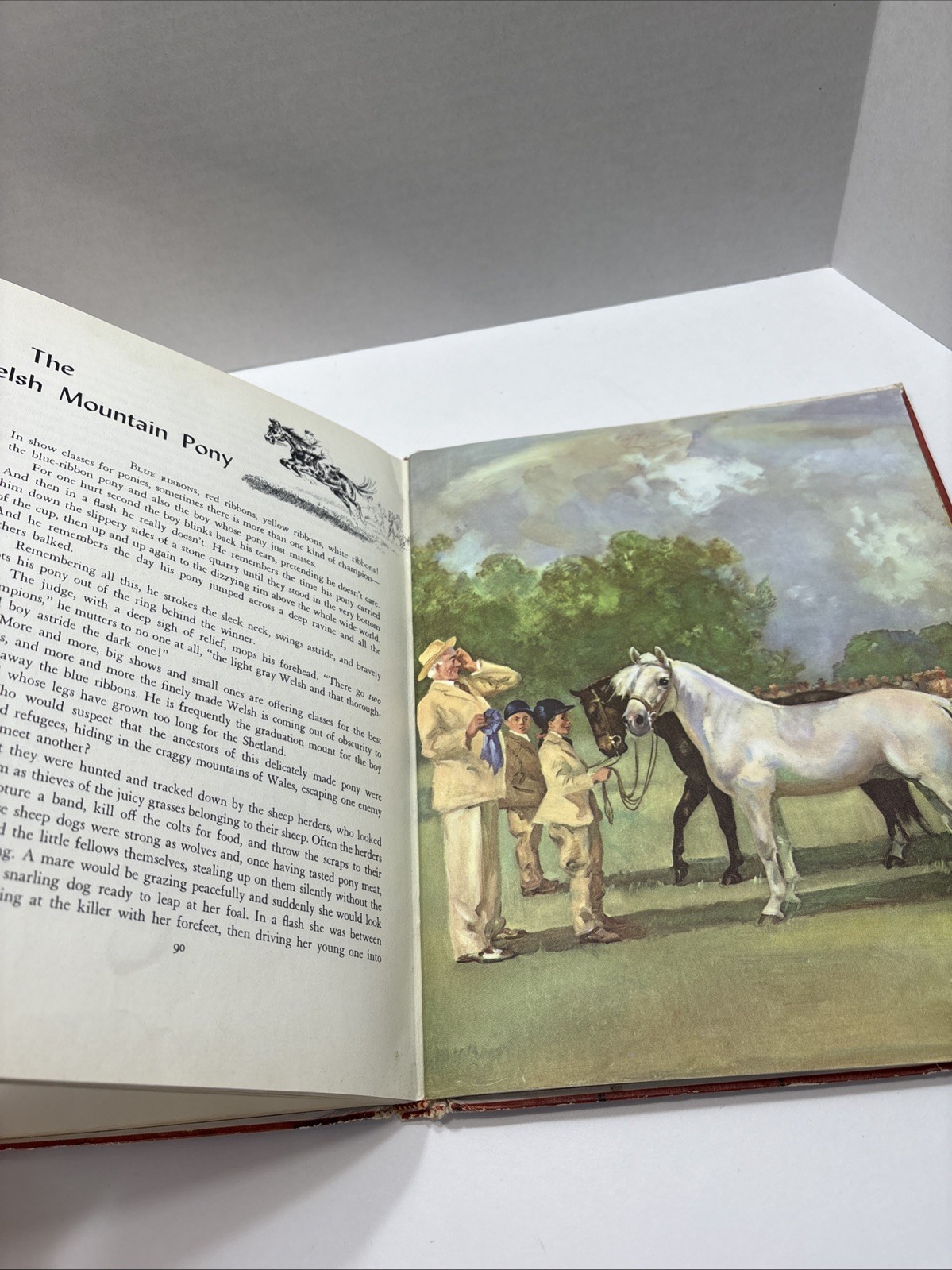 Album of Horses By Marguerite Henry, 1964, Illustr. By Wesley Dennis; HC, CB